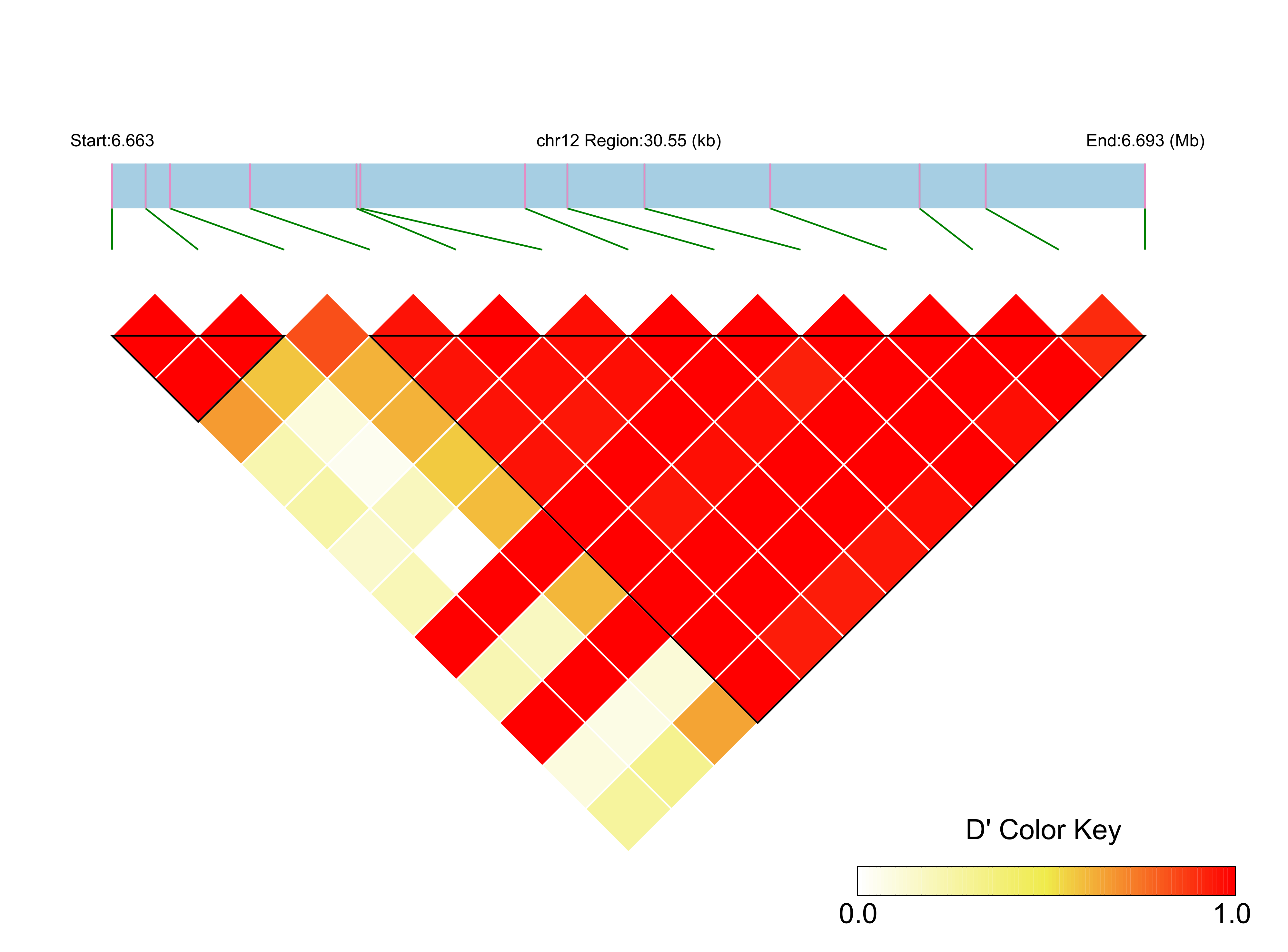 LD