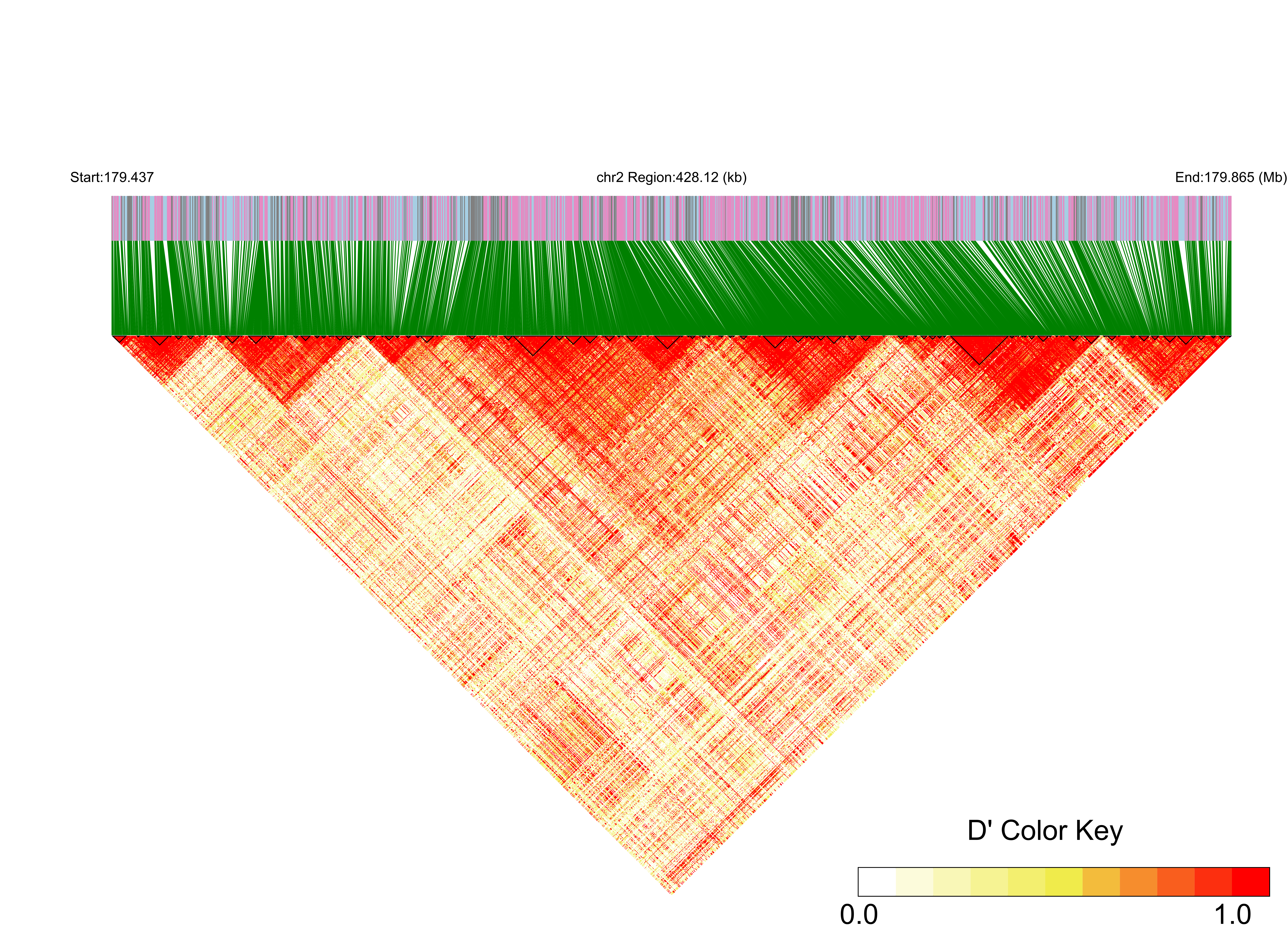 LD