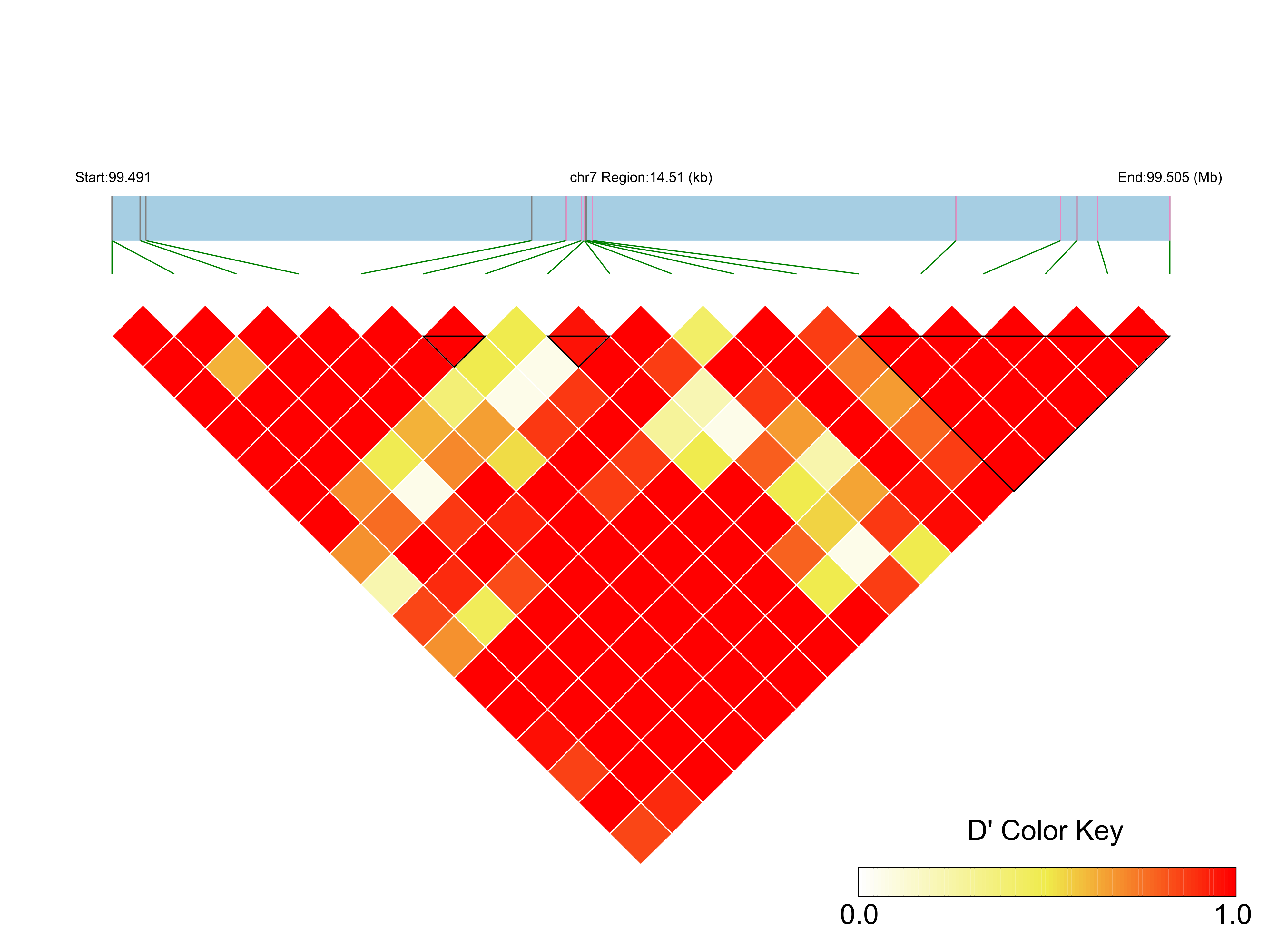 LD