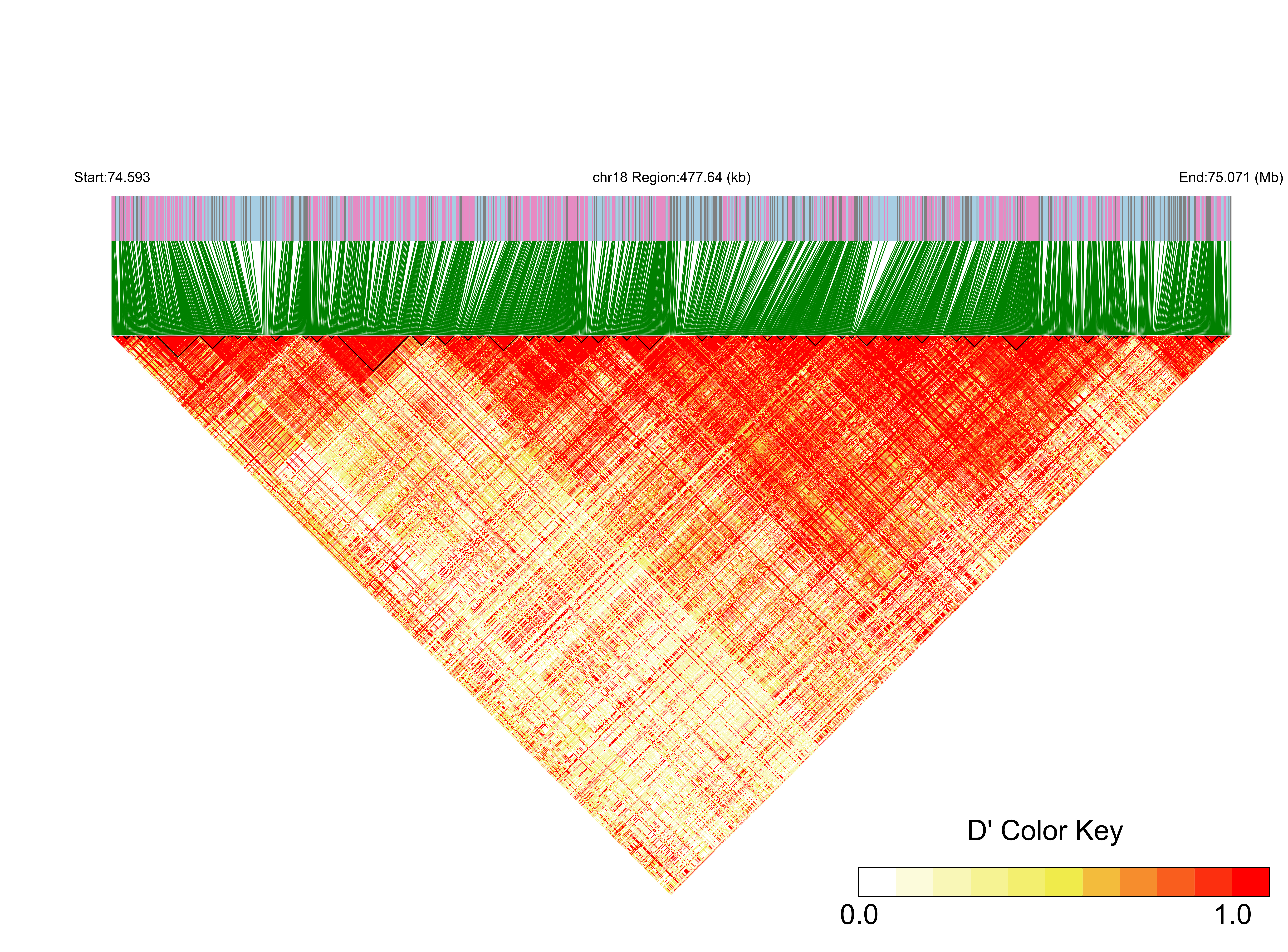 LD