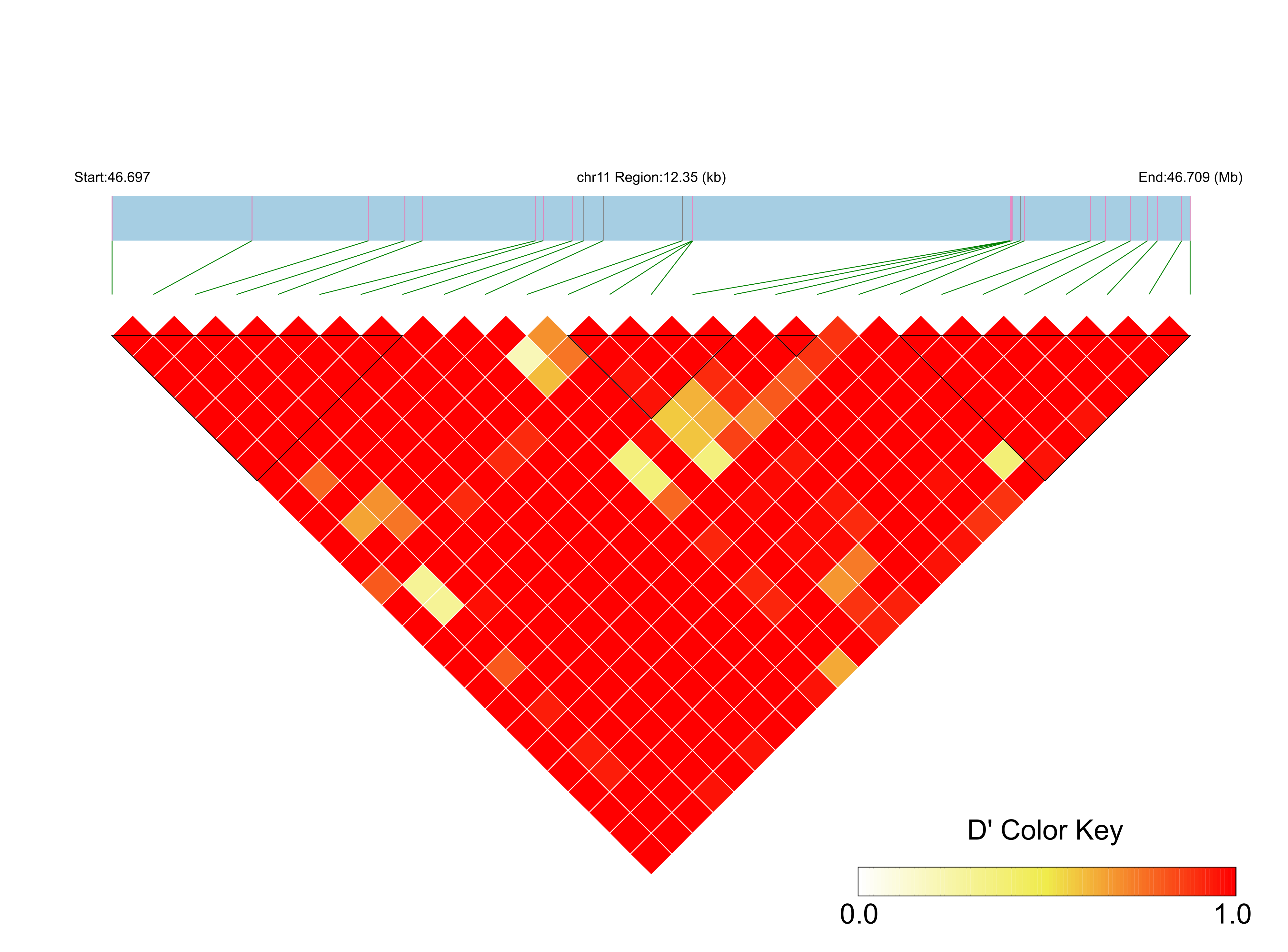 LD