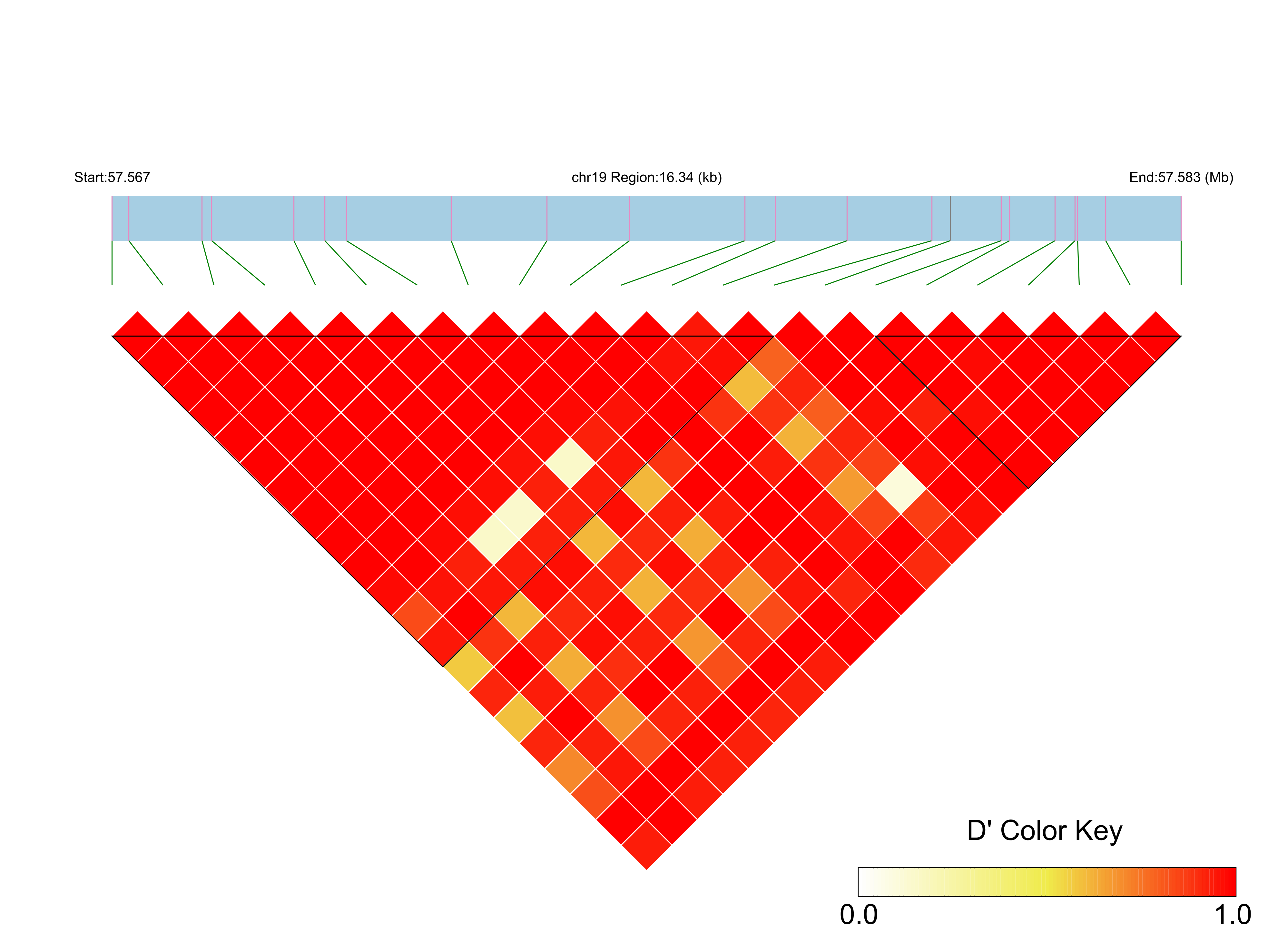 LD