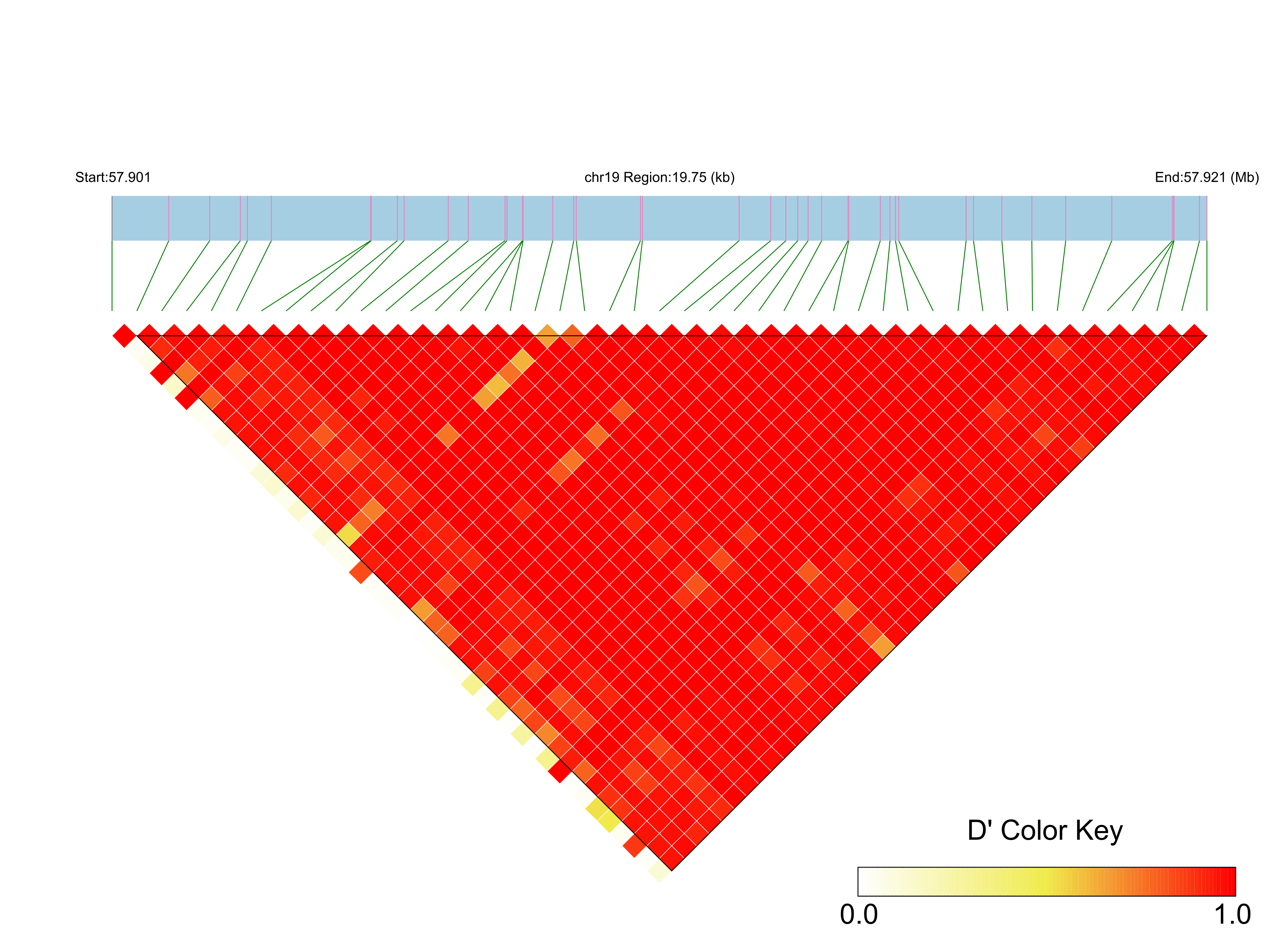LD
