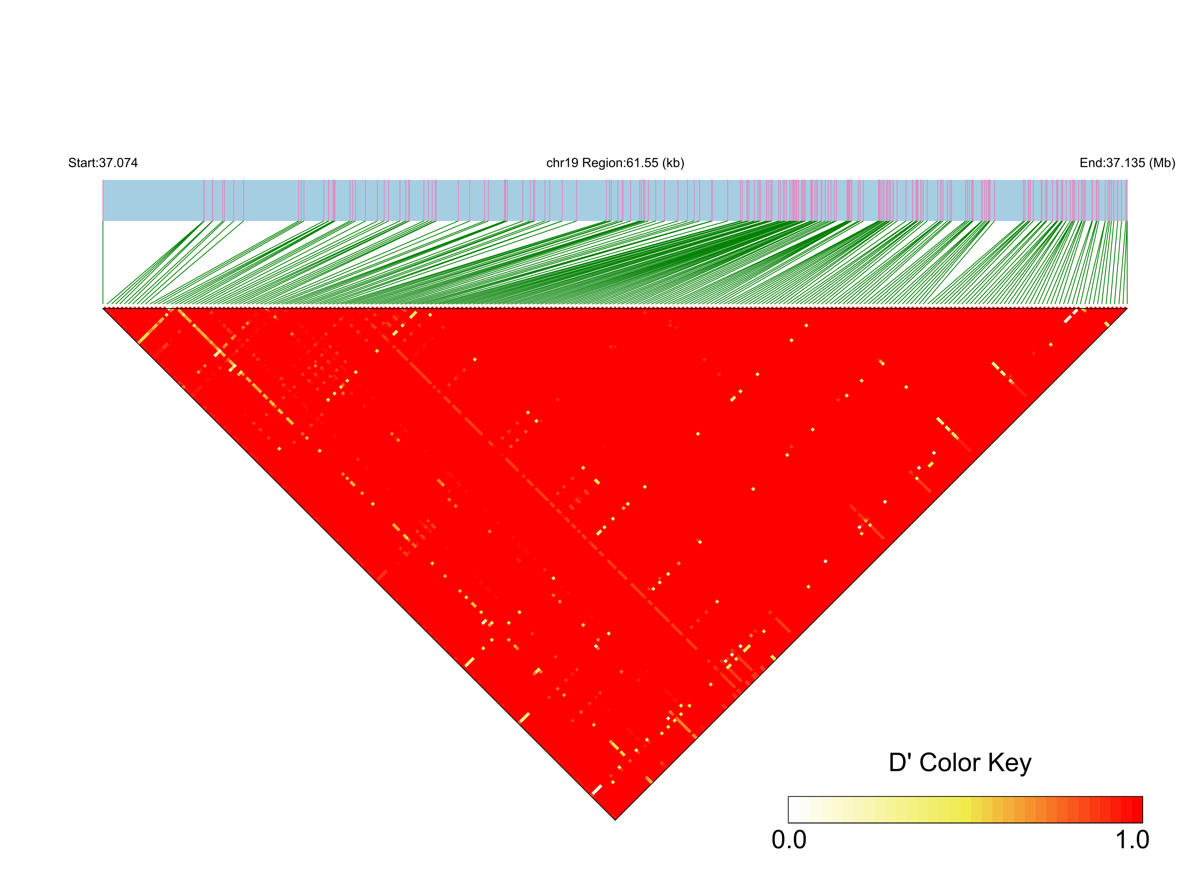 LD