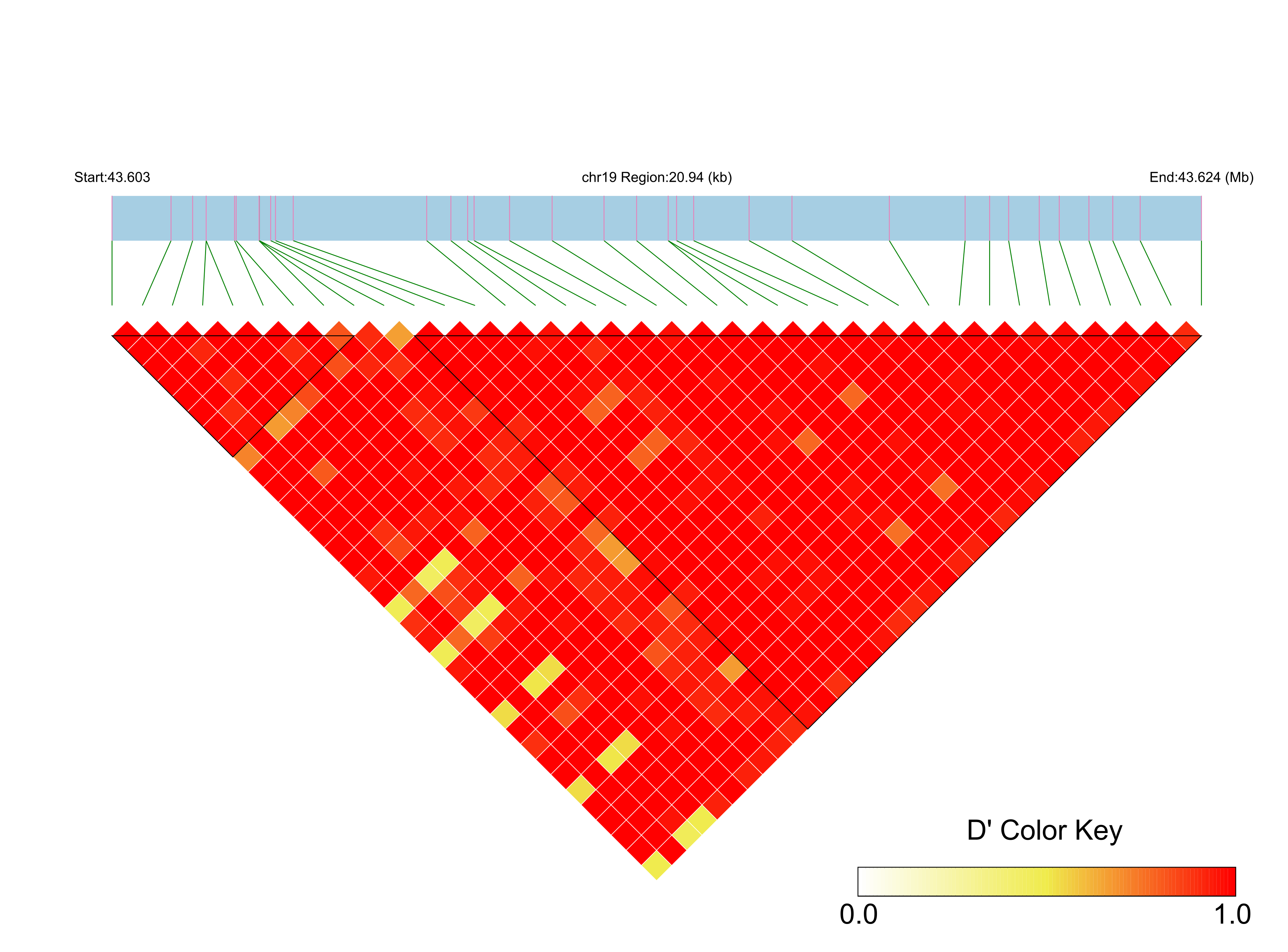 LD