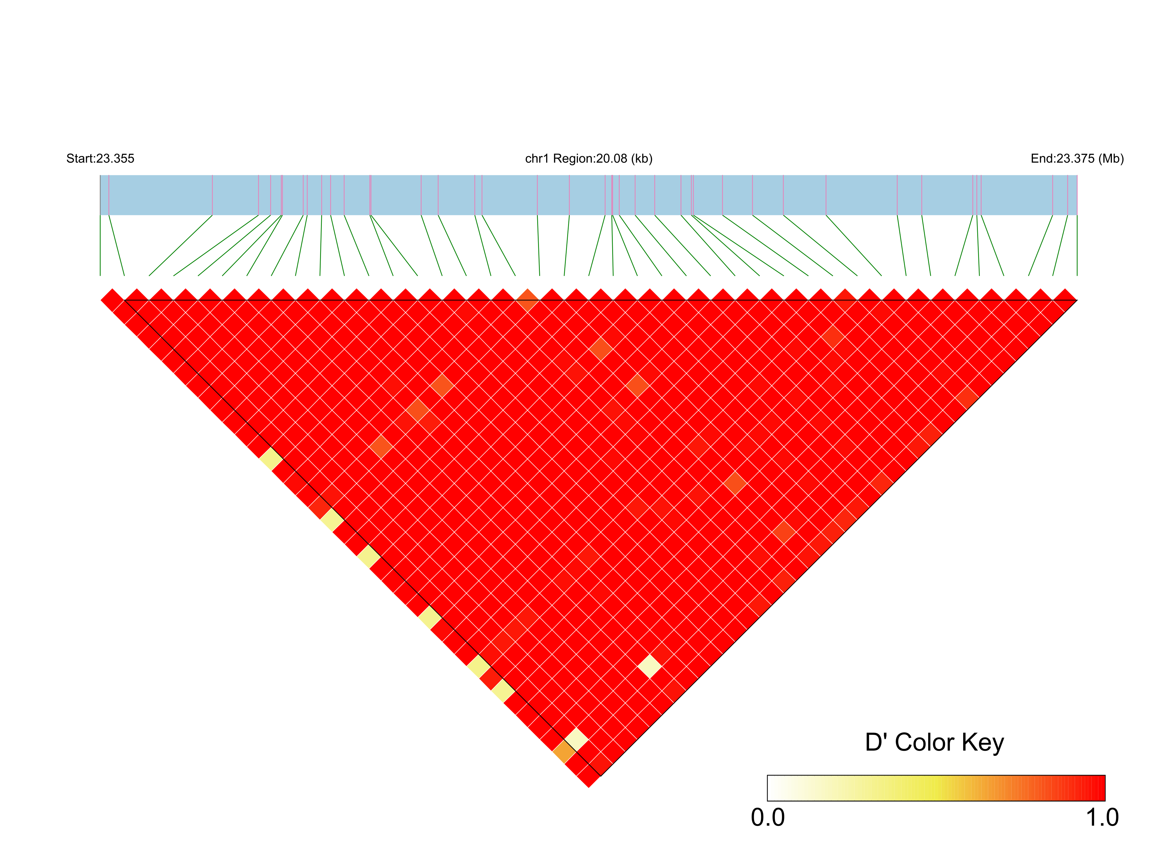 LD