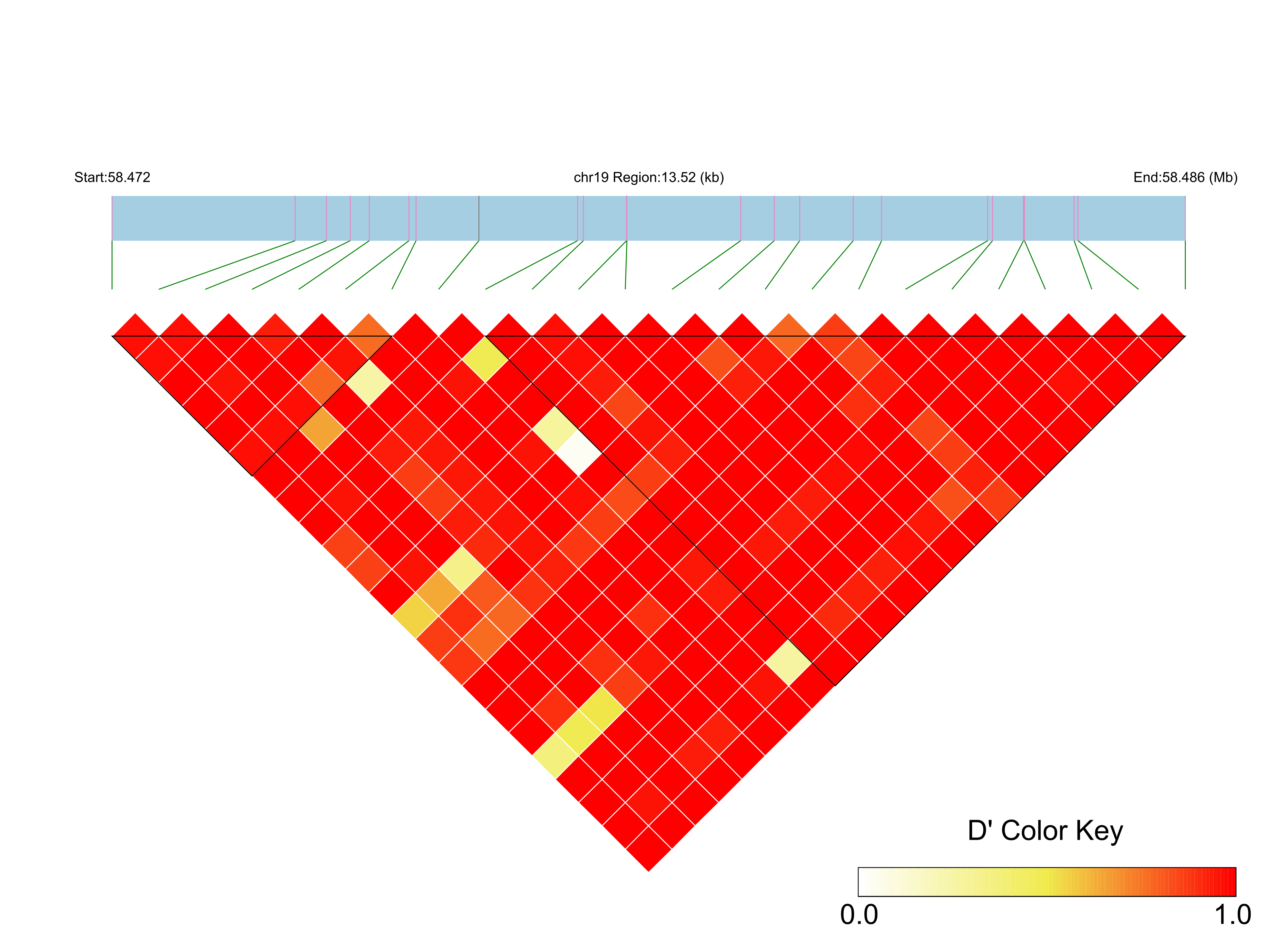 LD