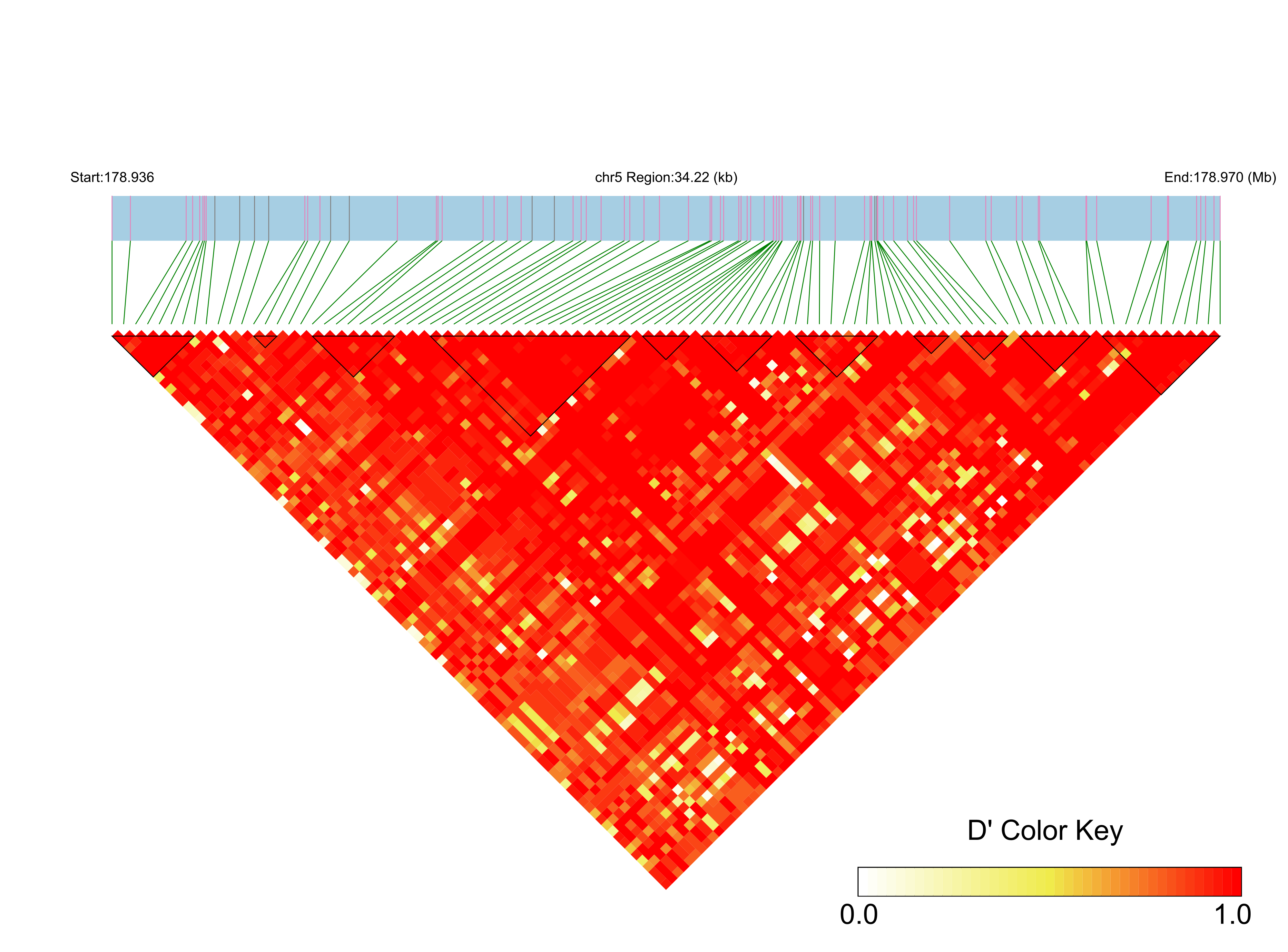 LD