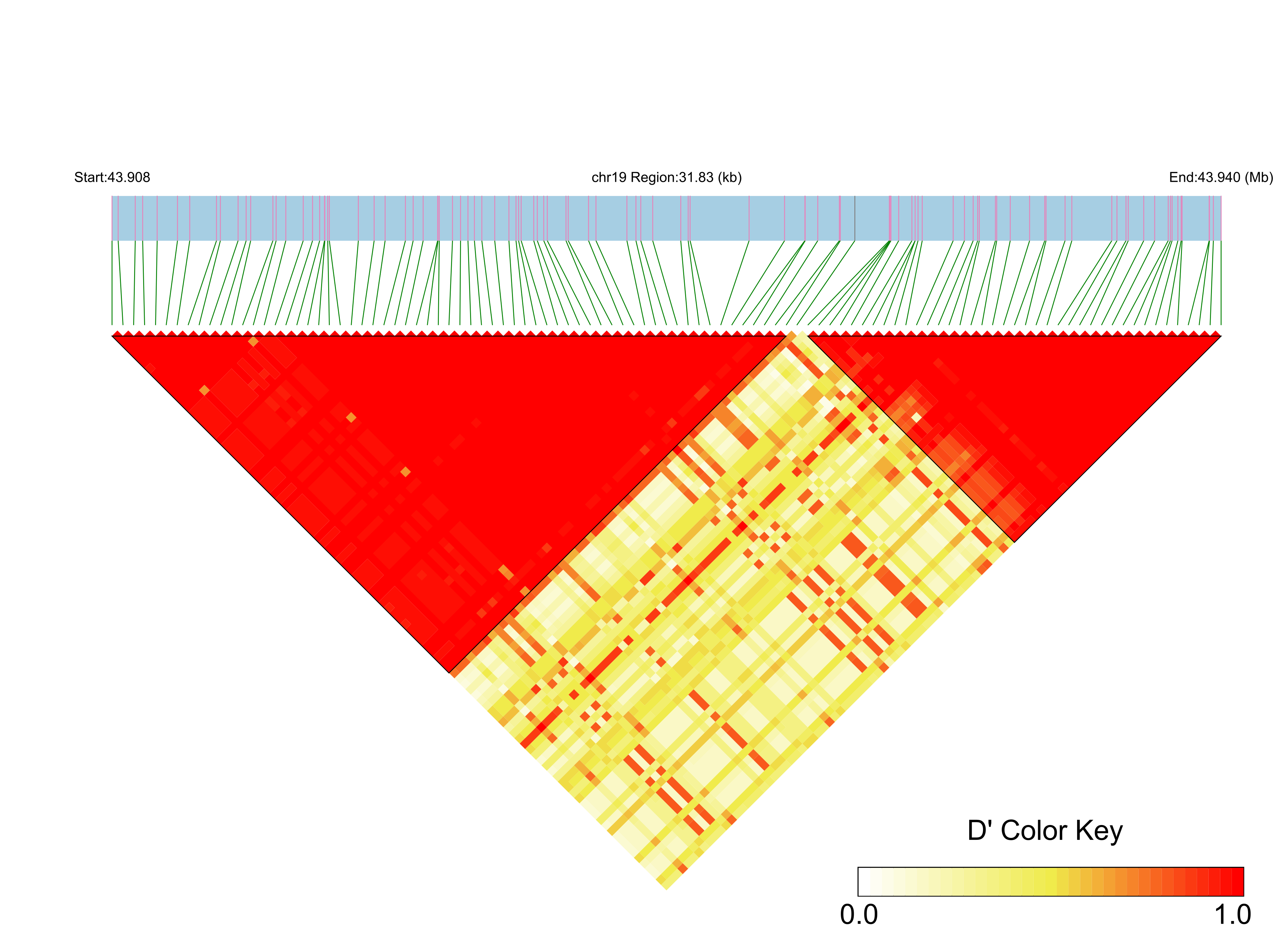 LD