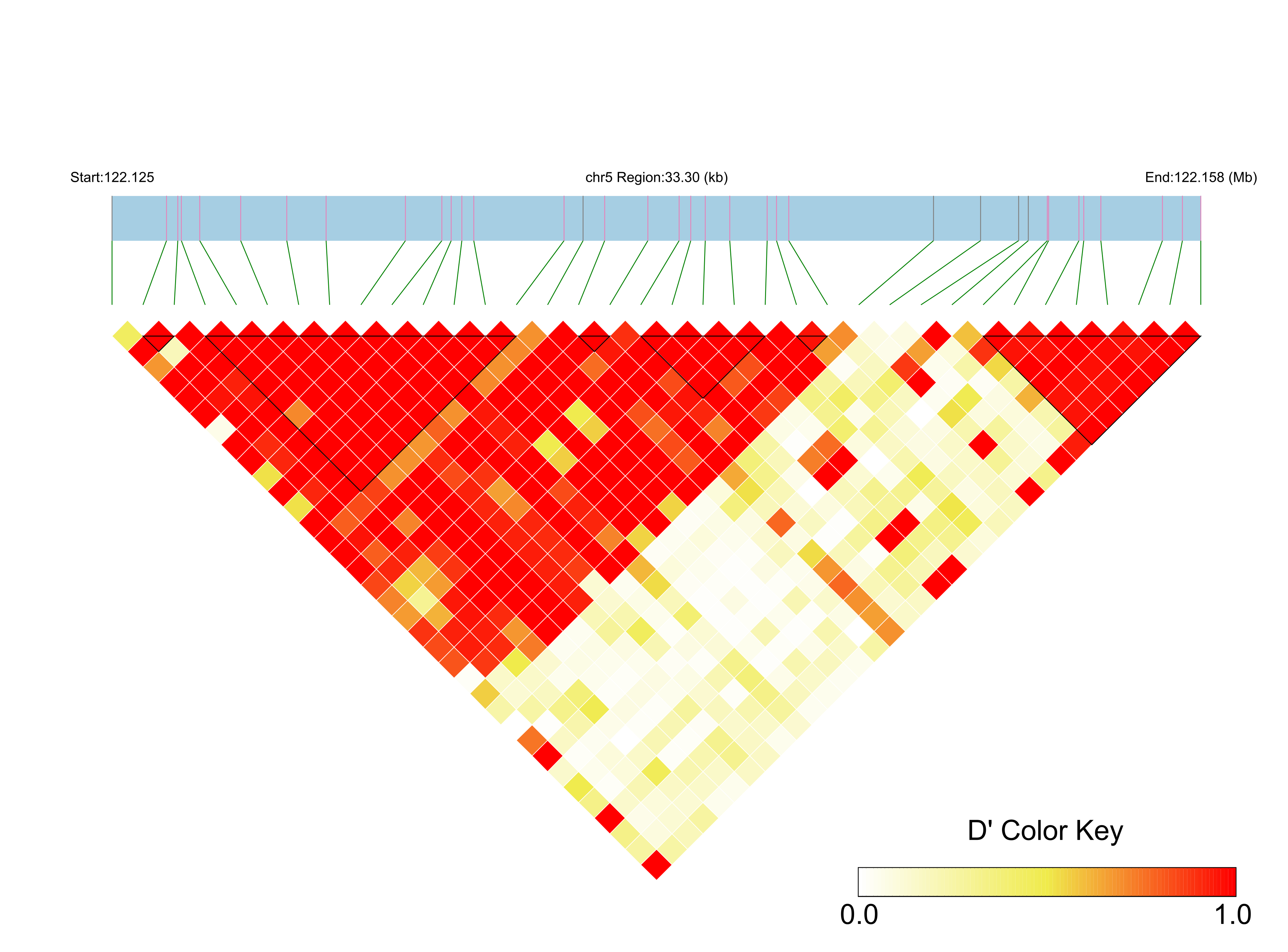 LD