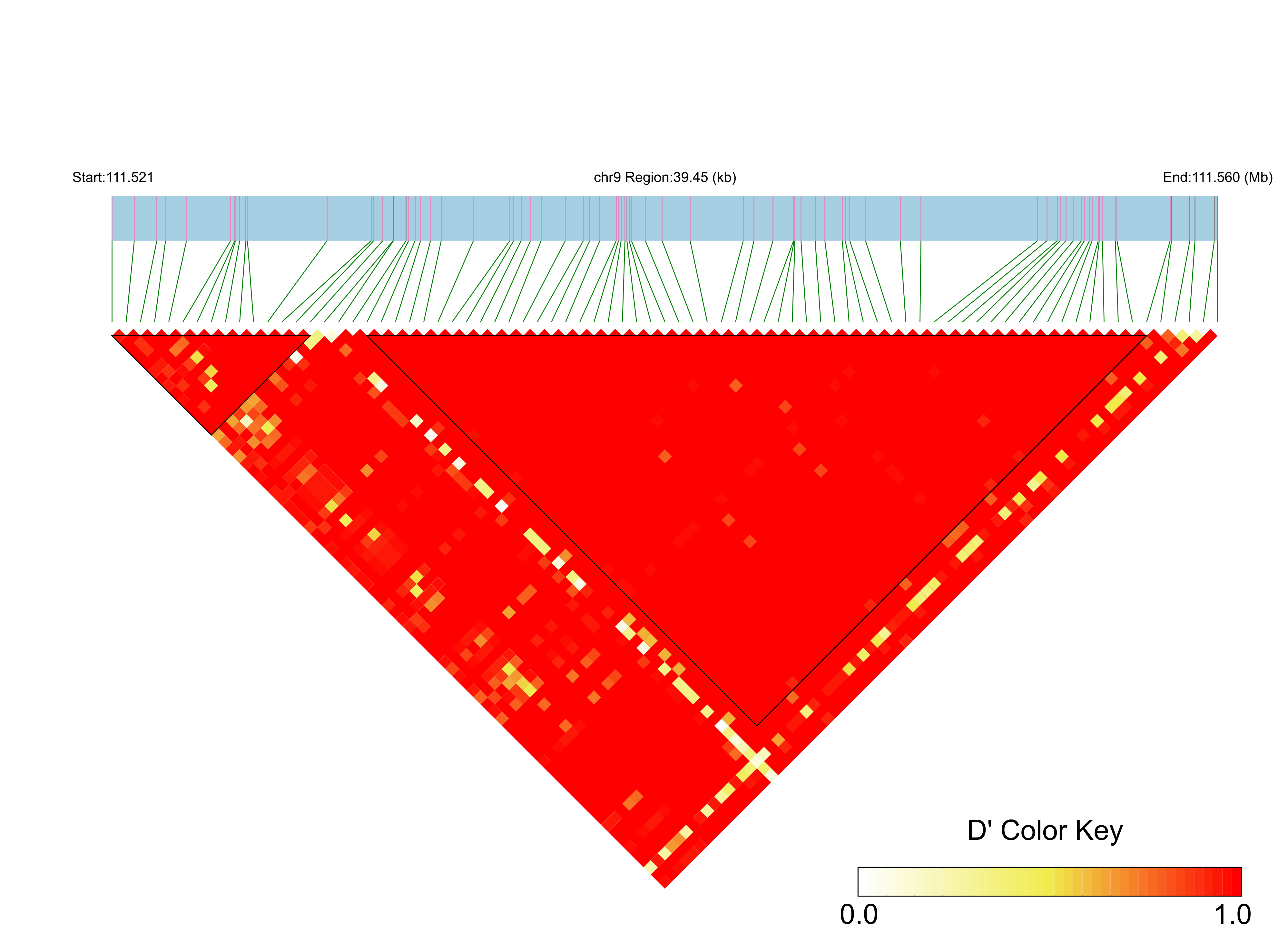 LD