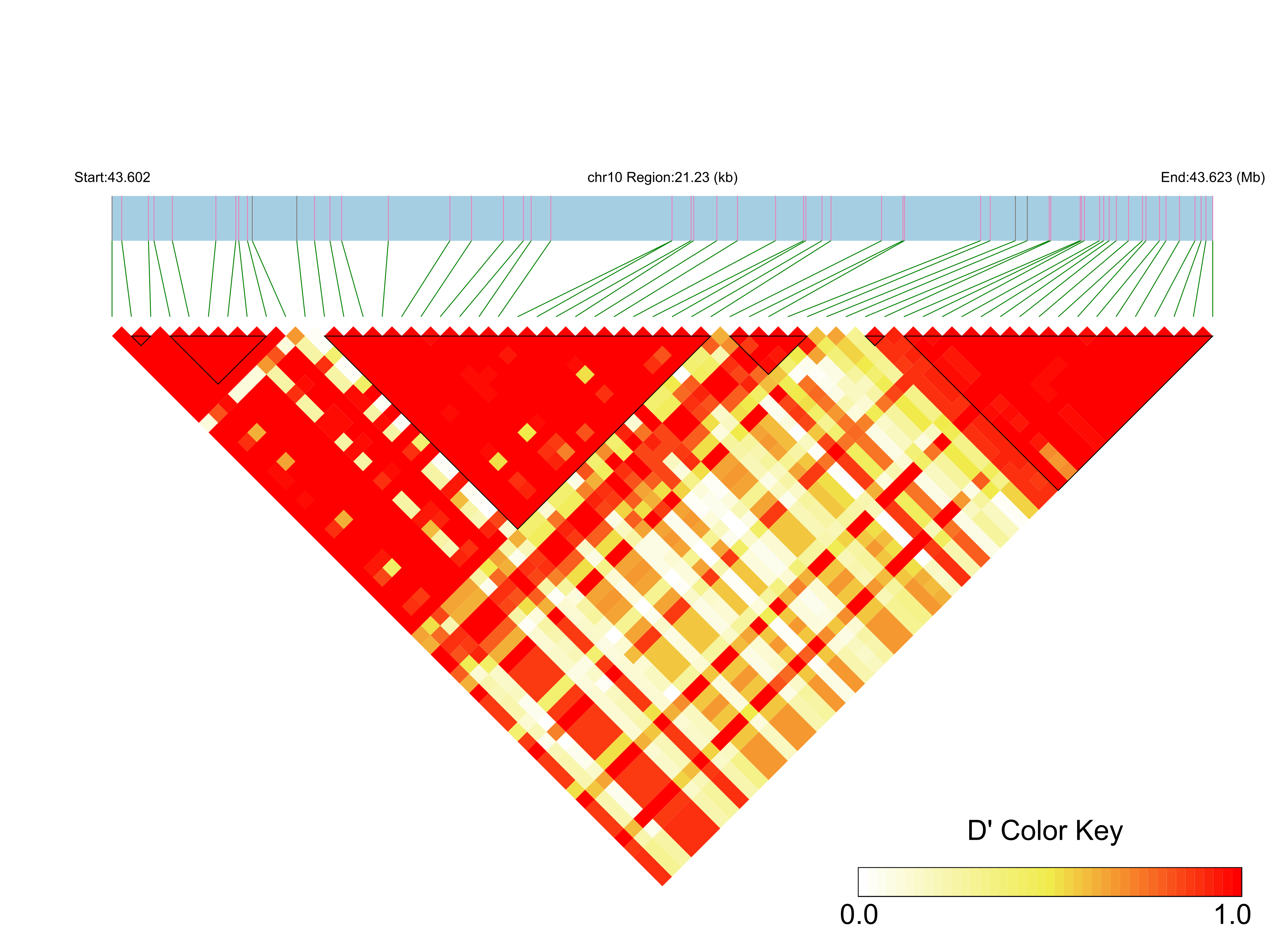 LD