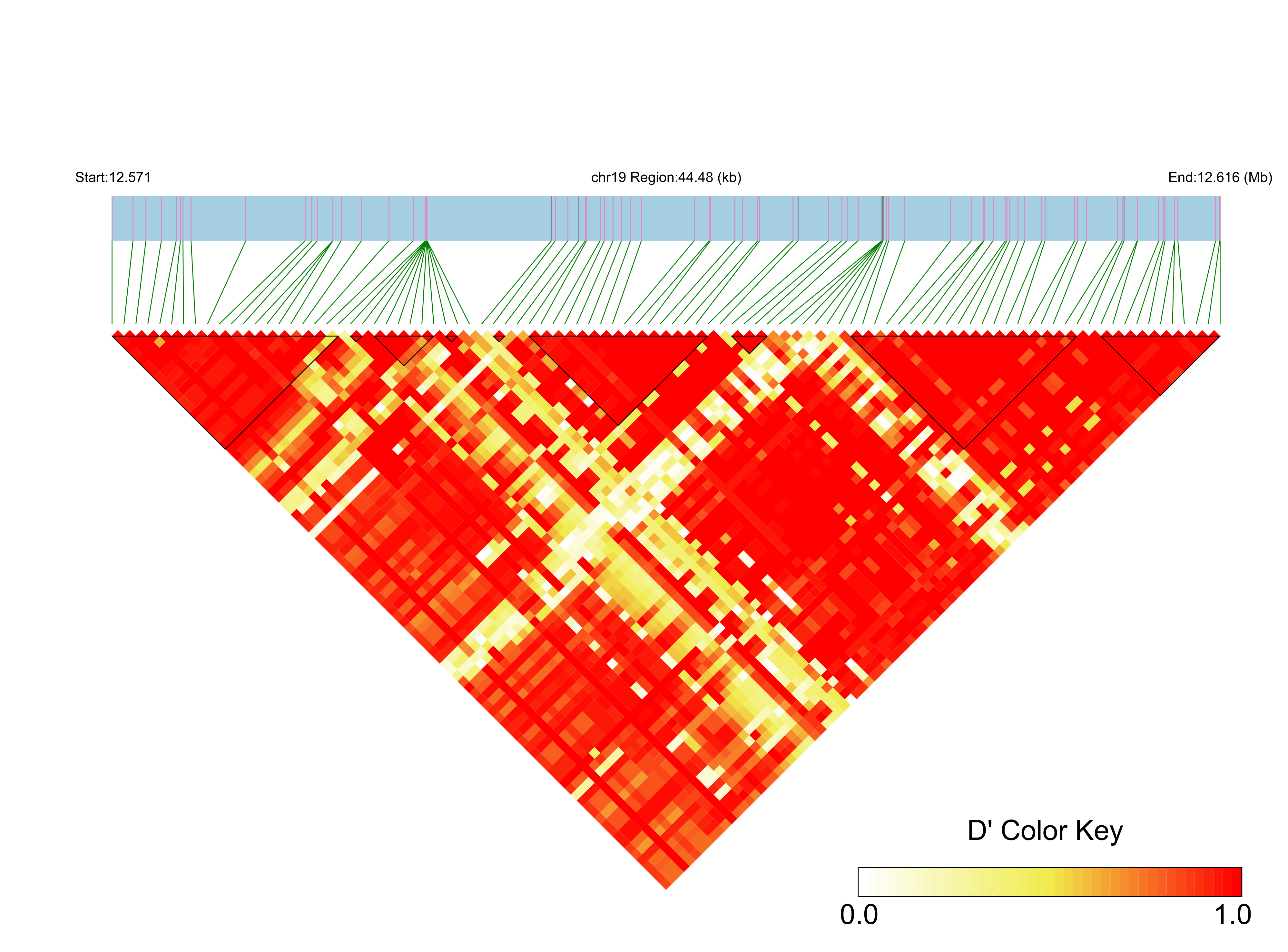 LD