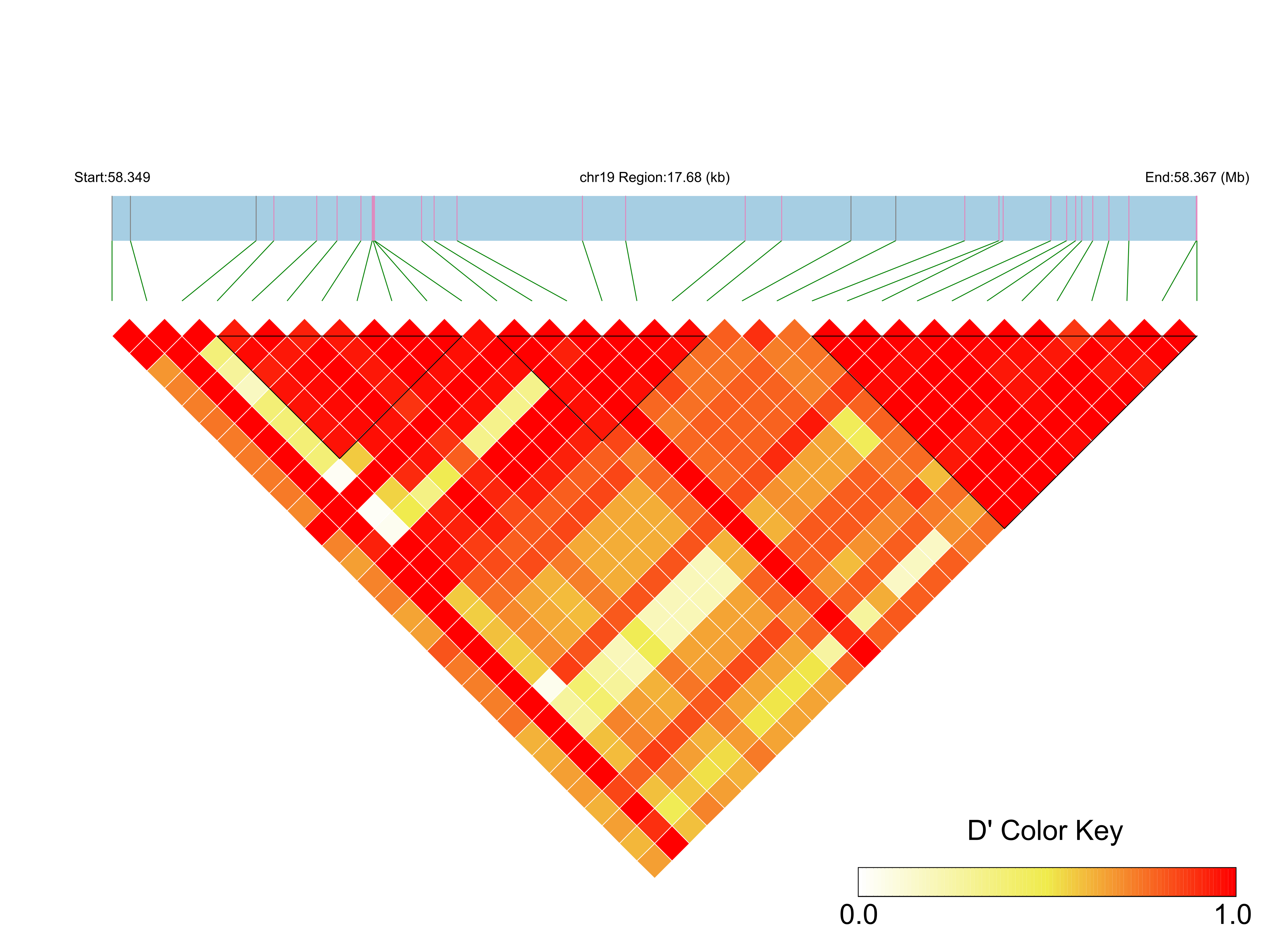 LD