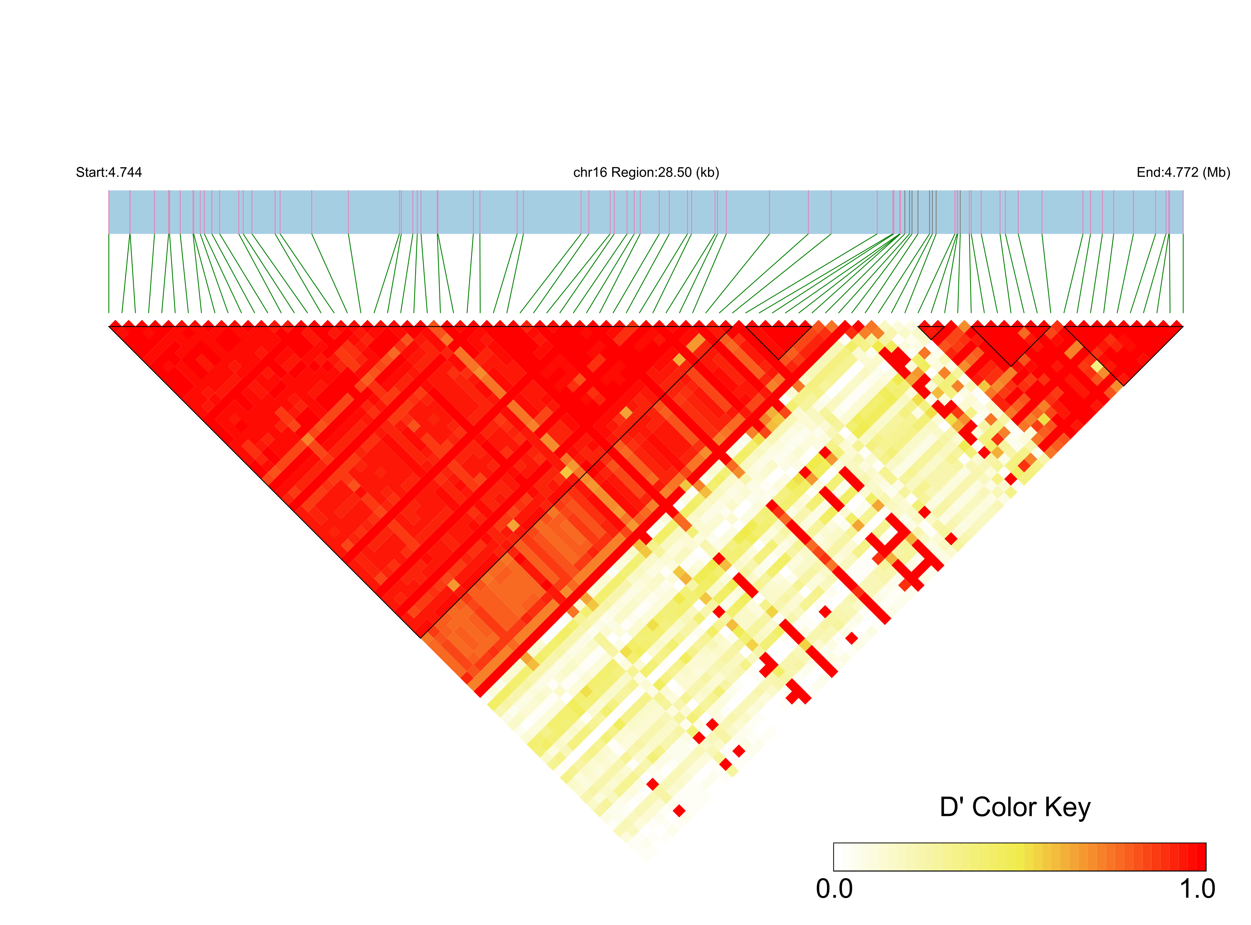 LD