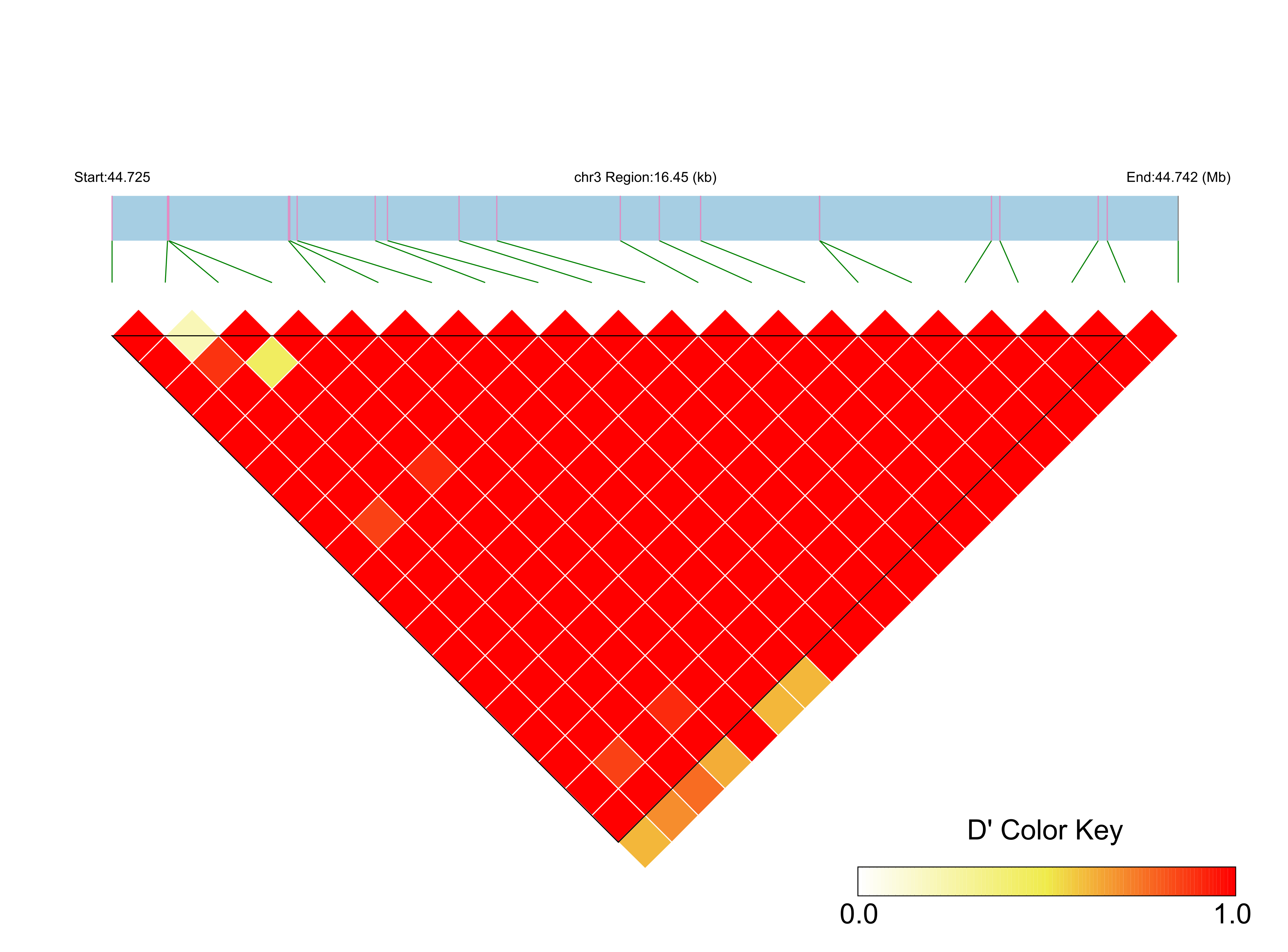 LD