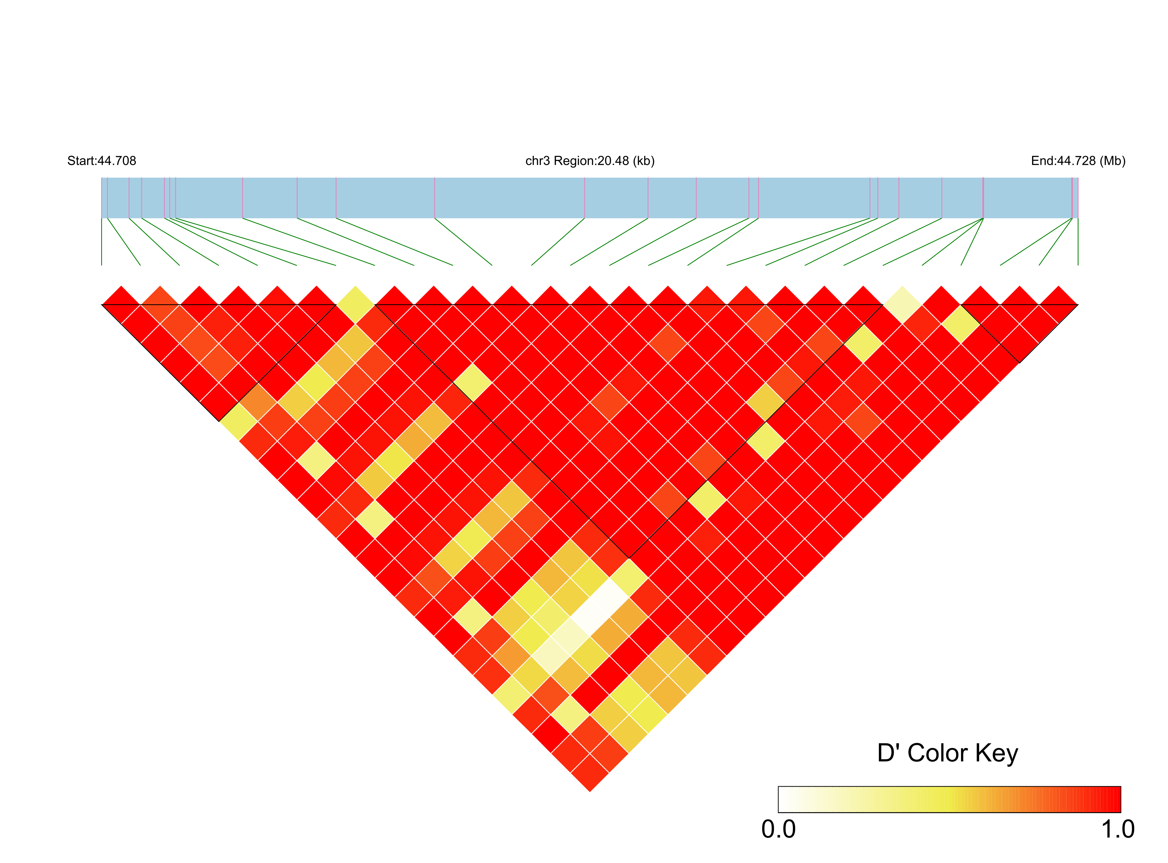 LD
