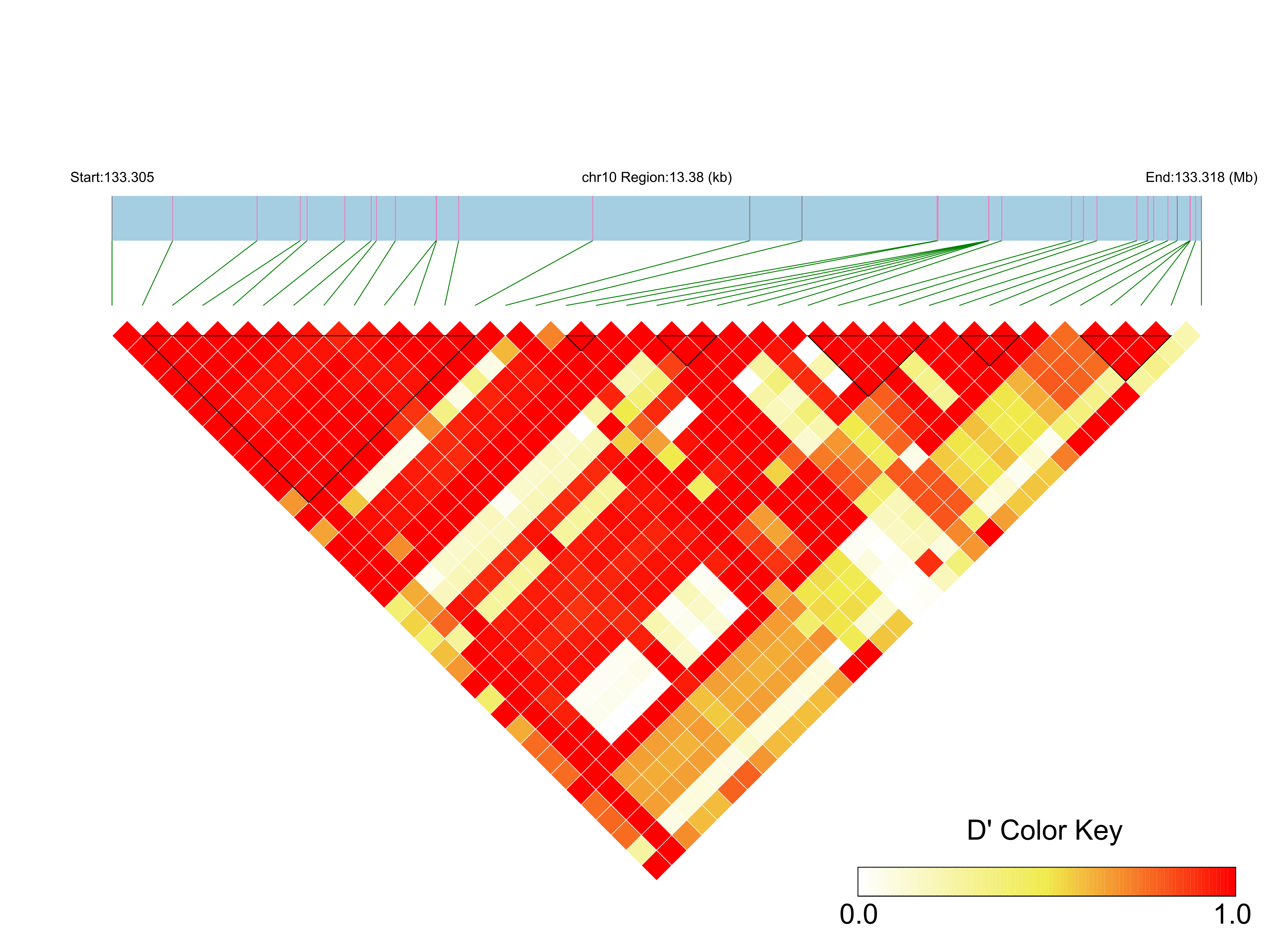 LD