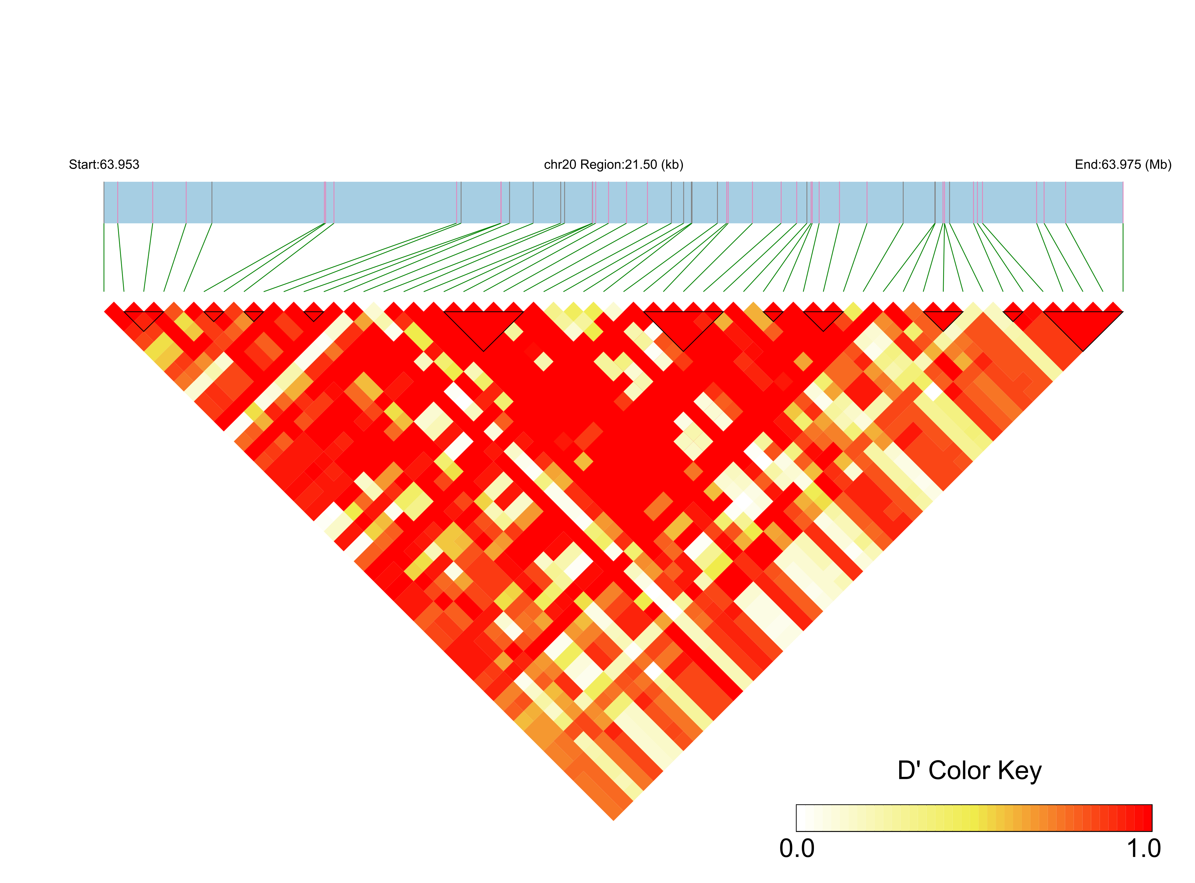 LD