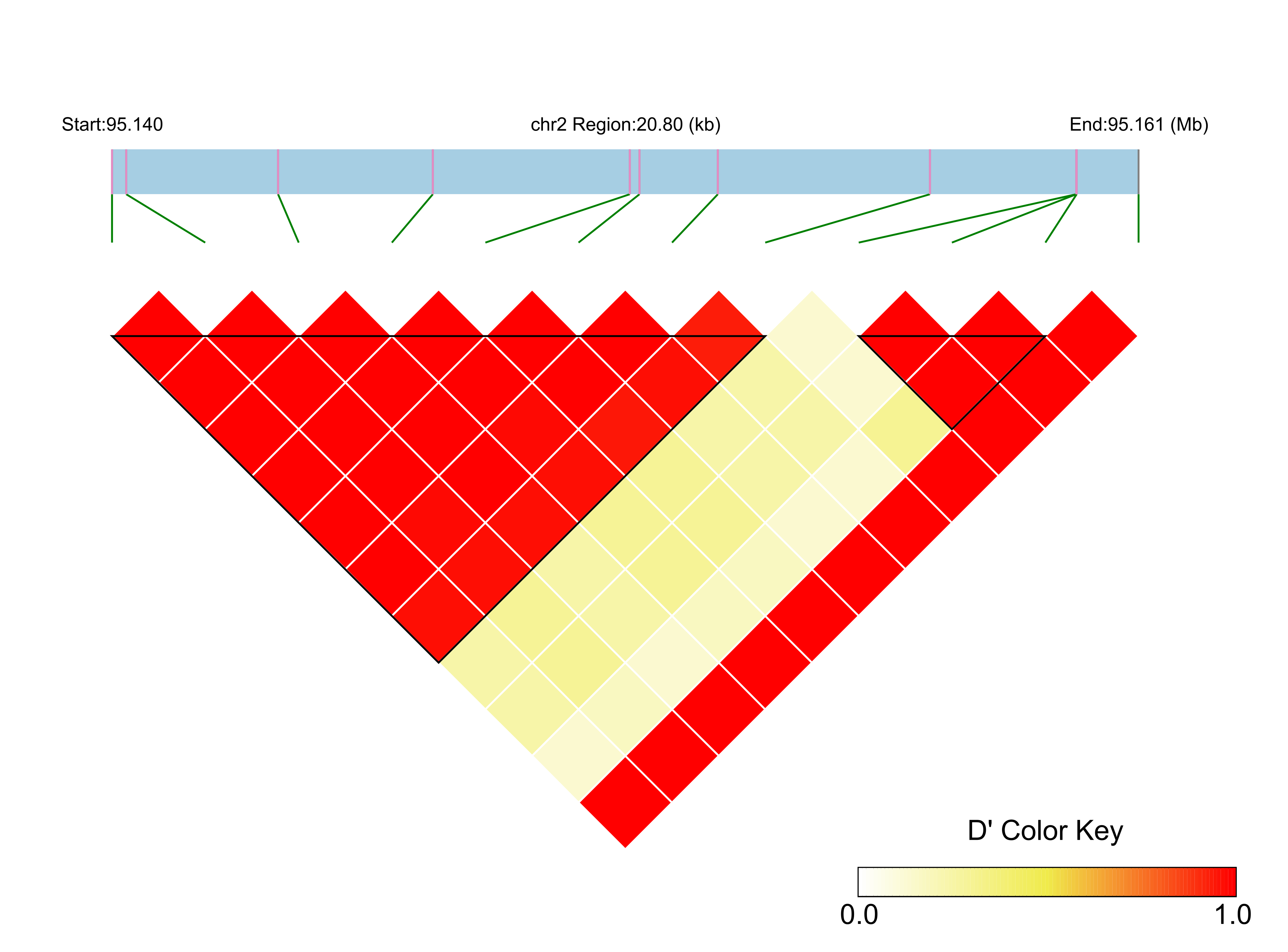 LD