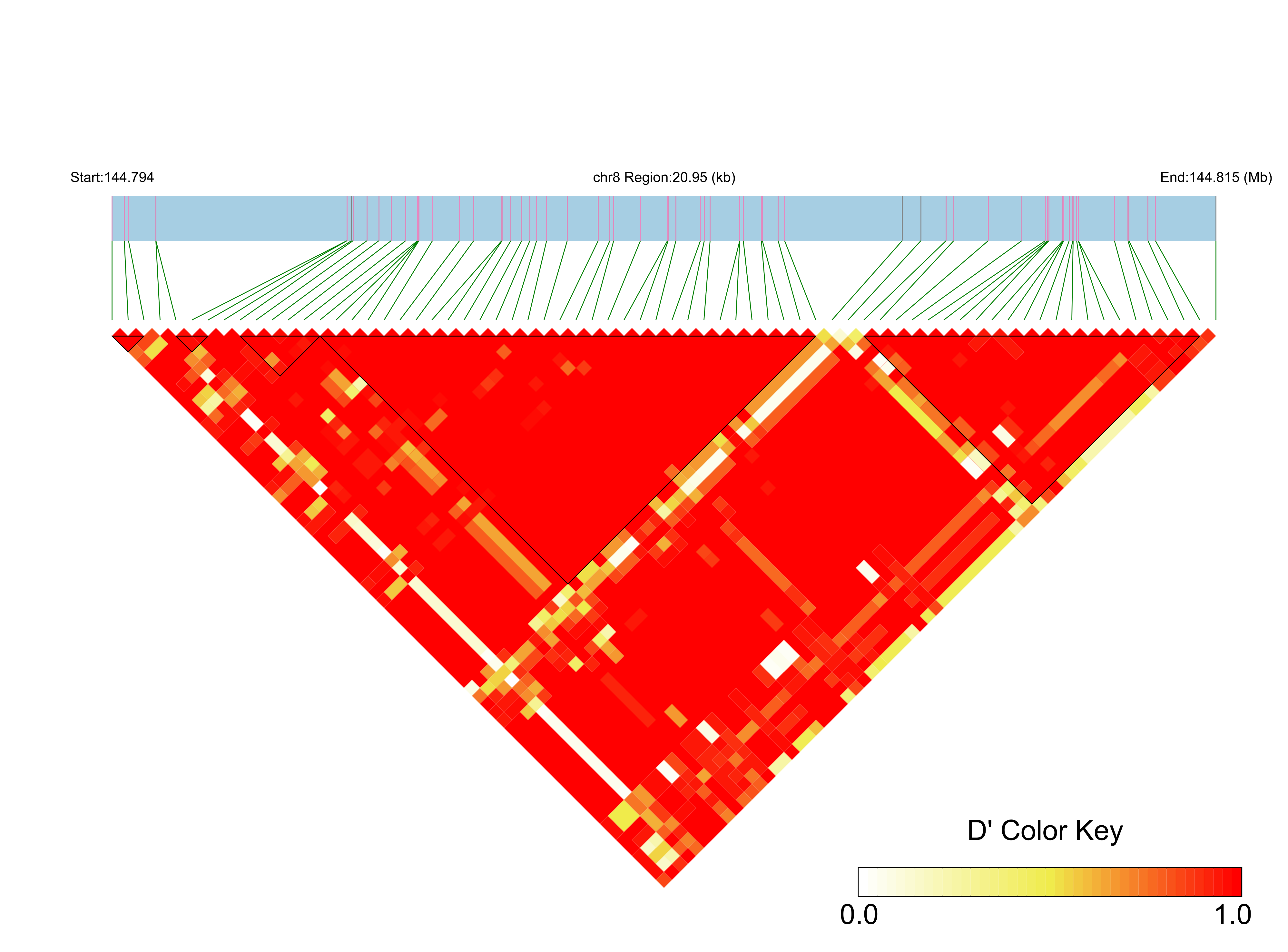LD