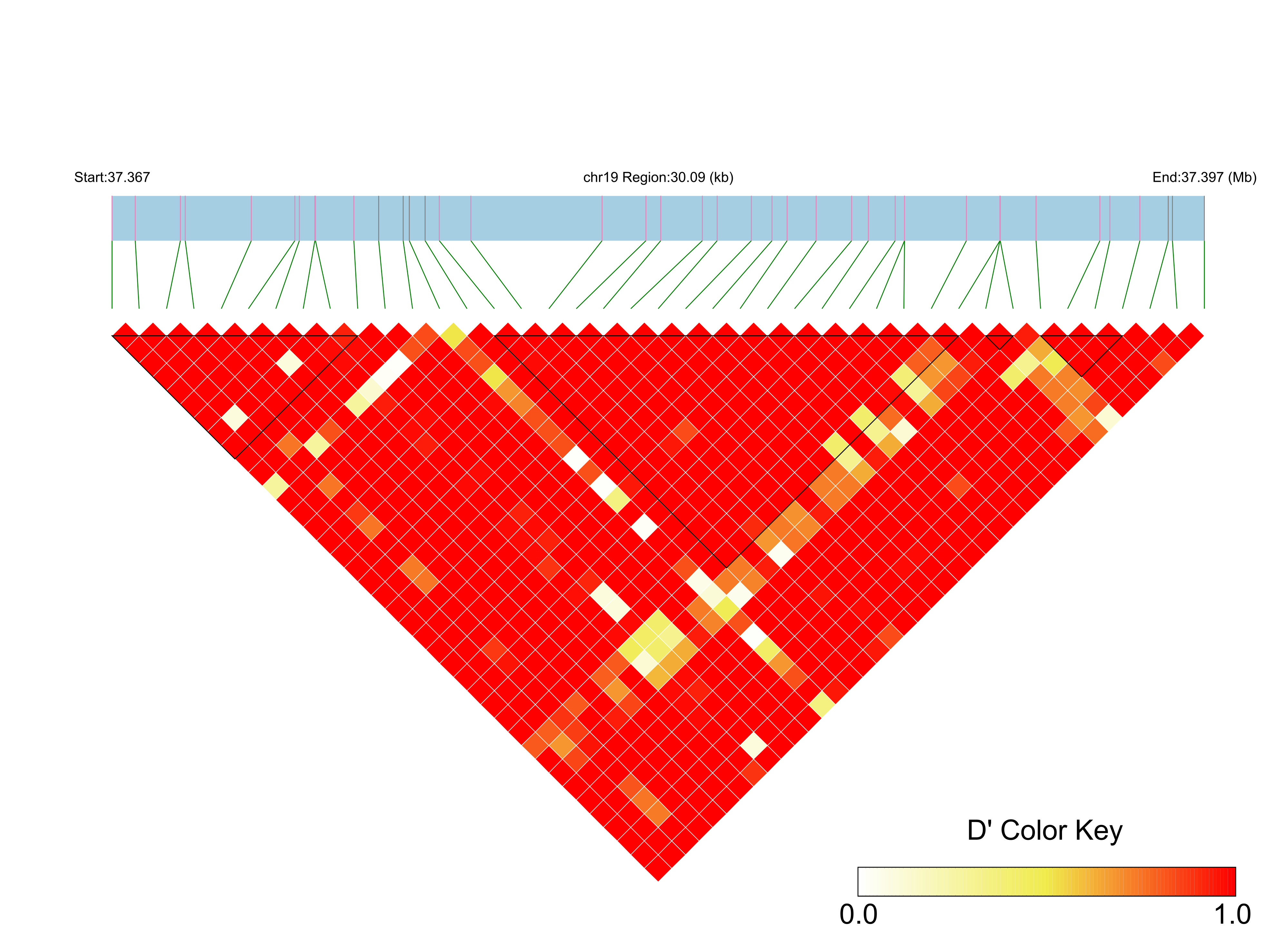 LD
