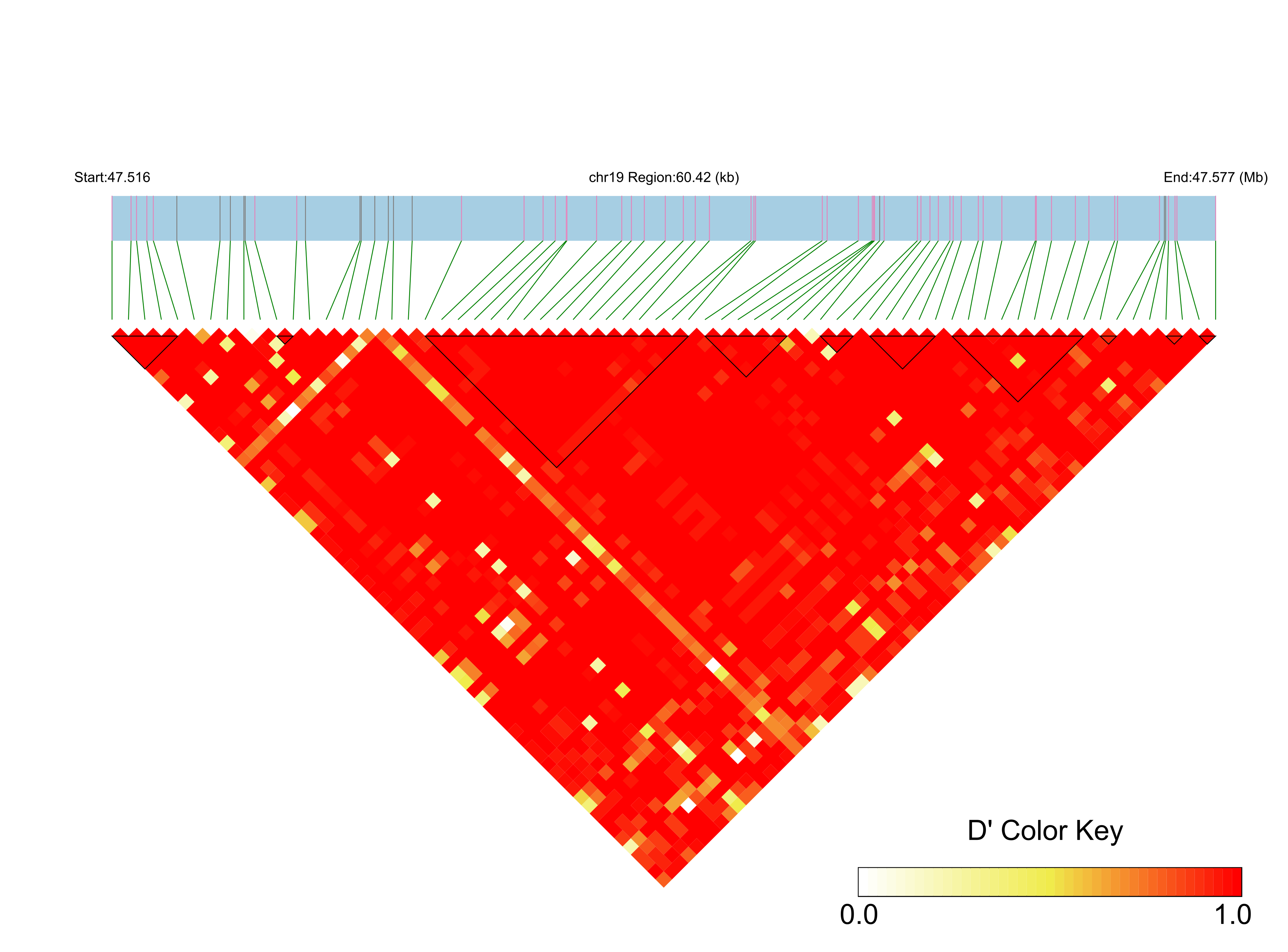 LD