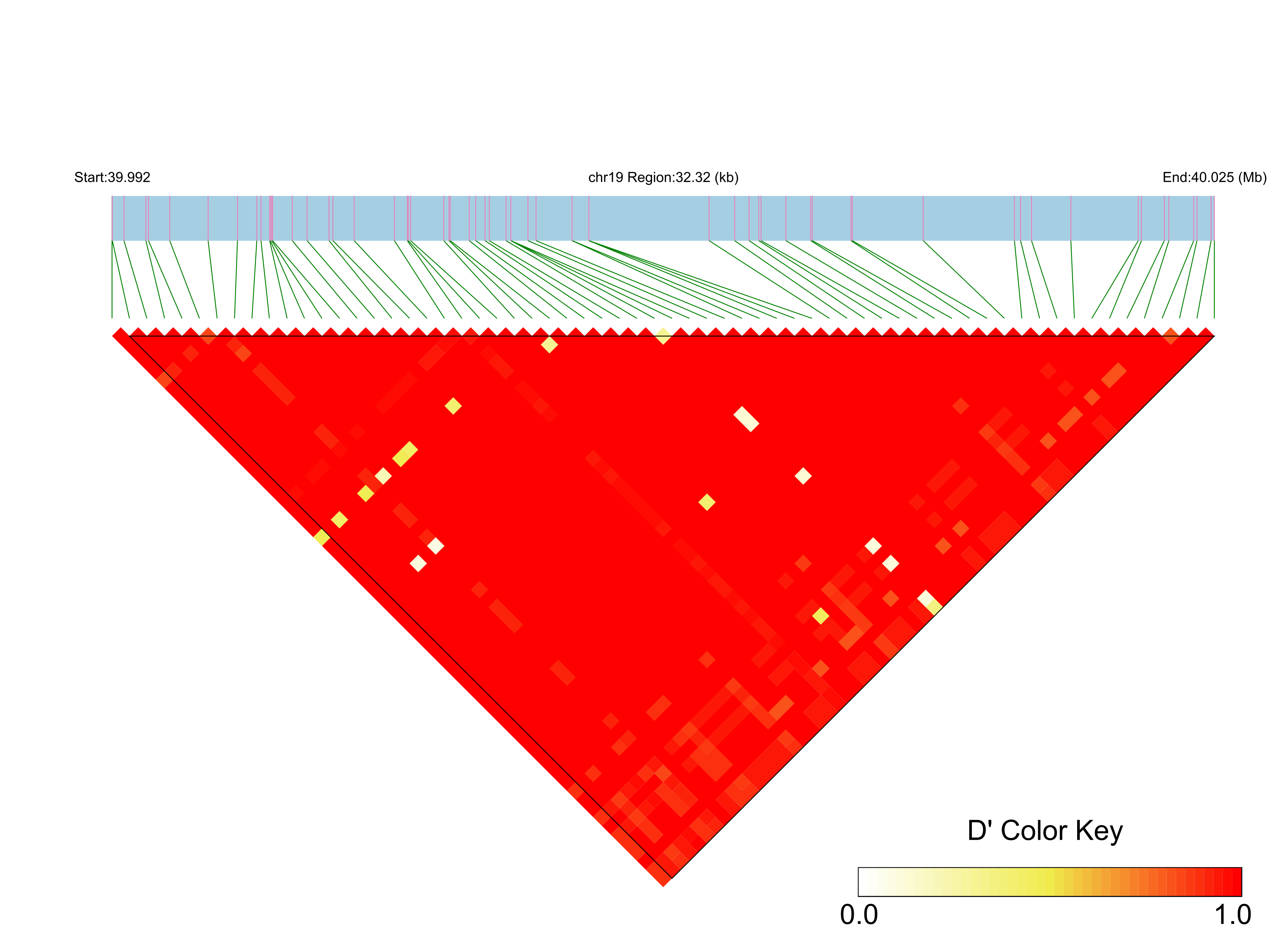 LD
