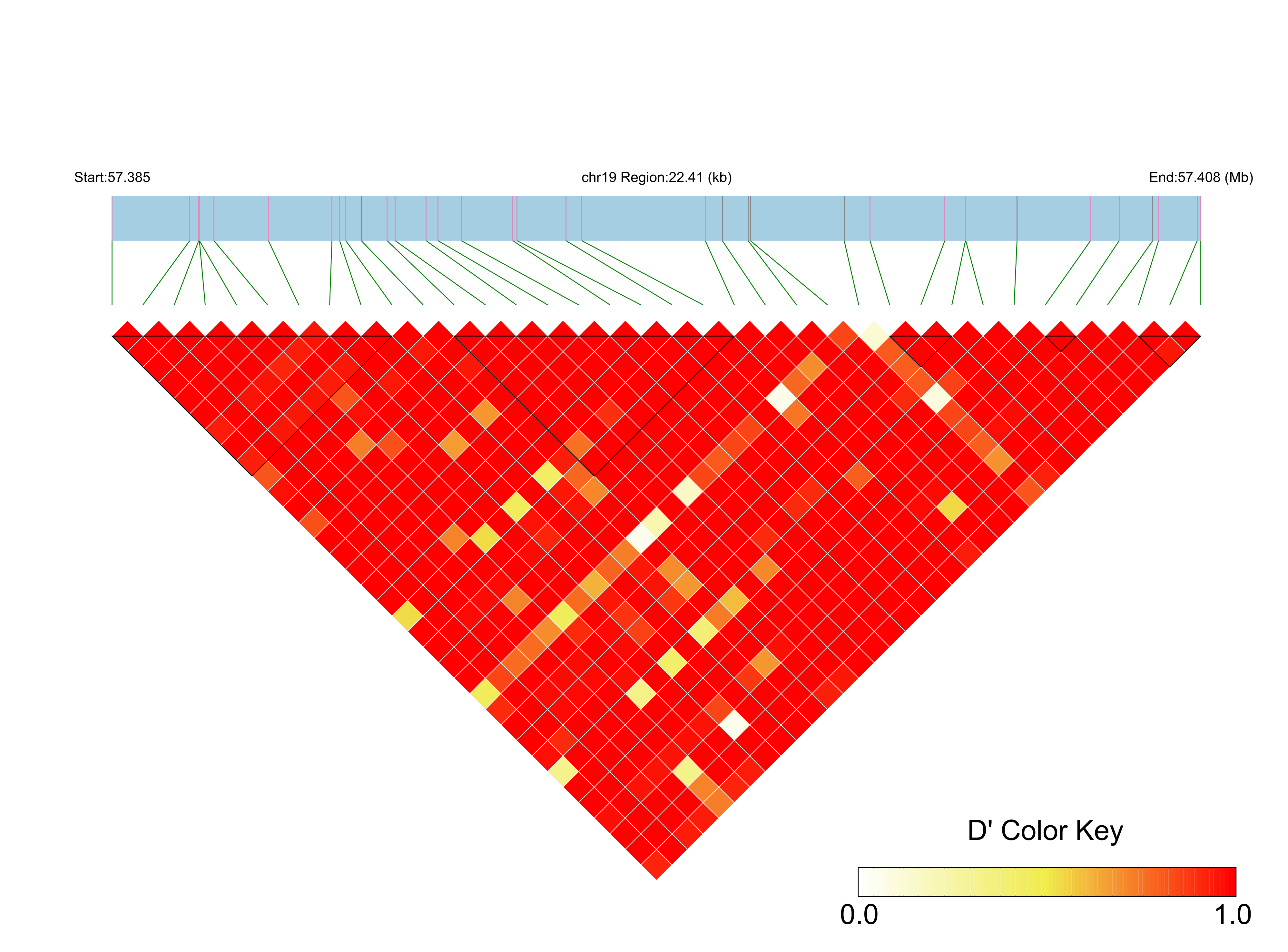 LD