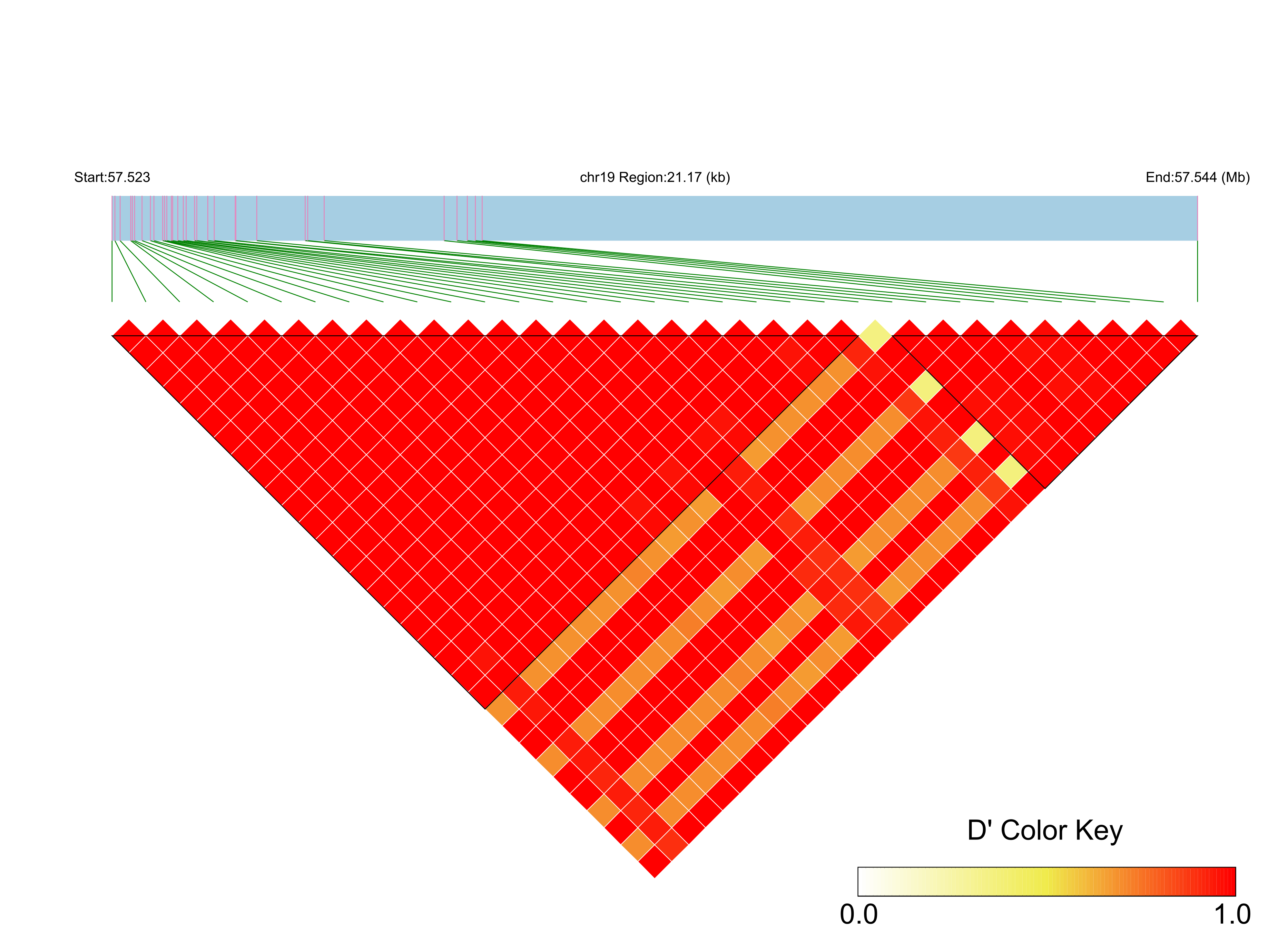 LD