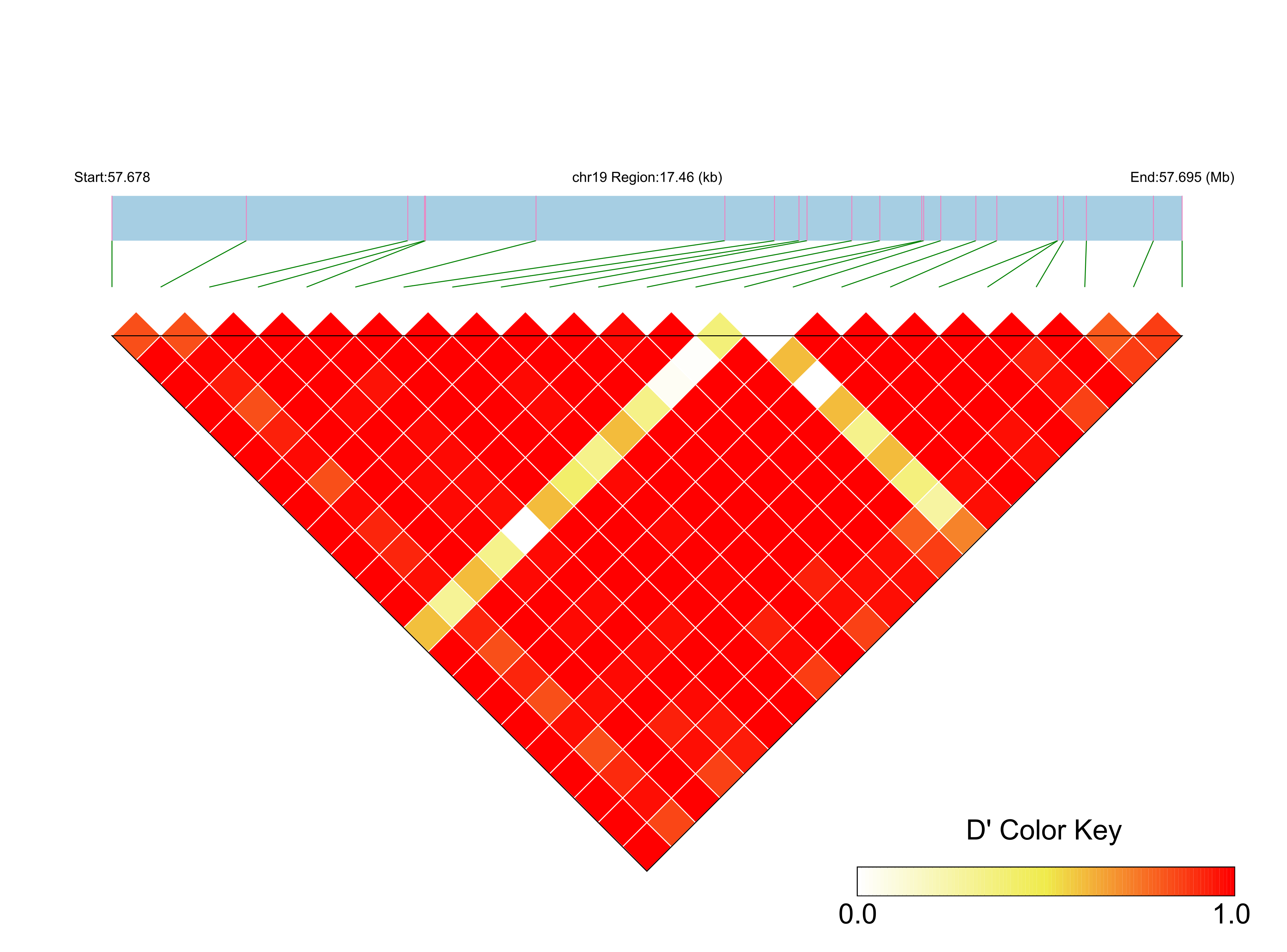 LD