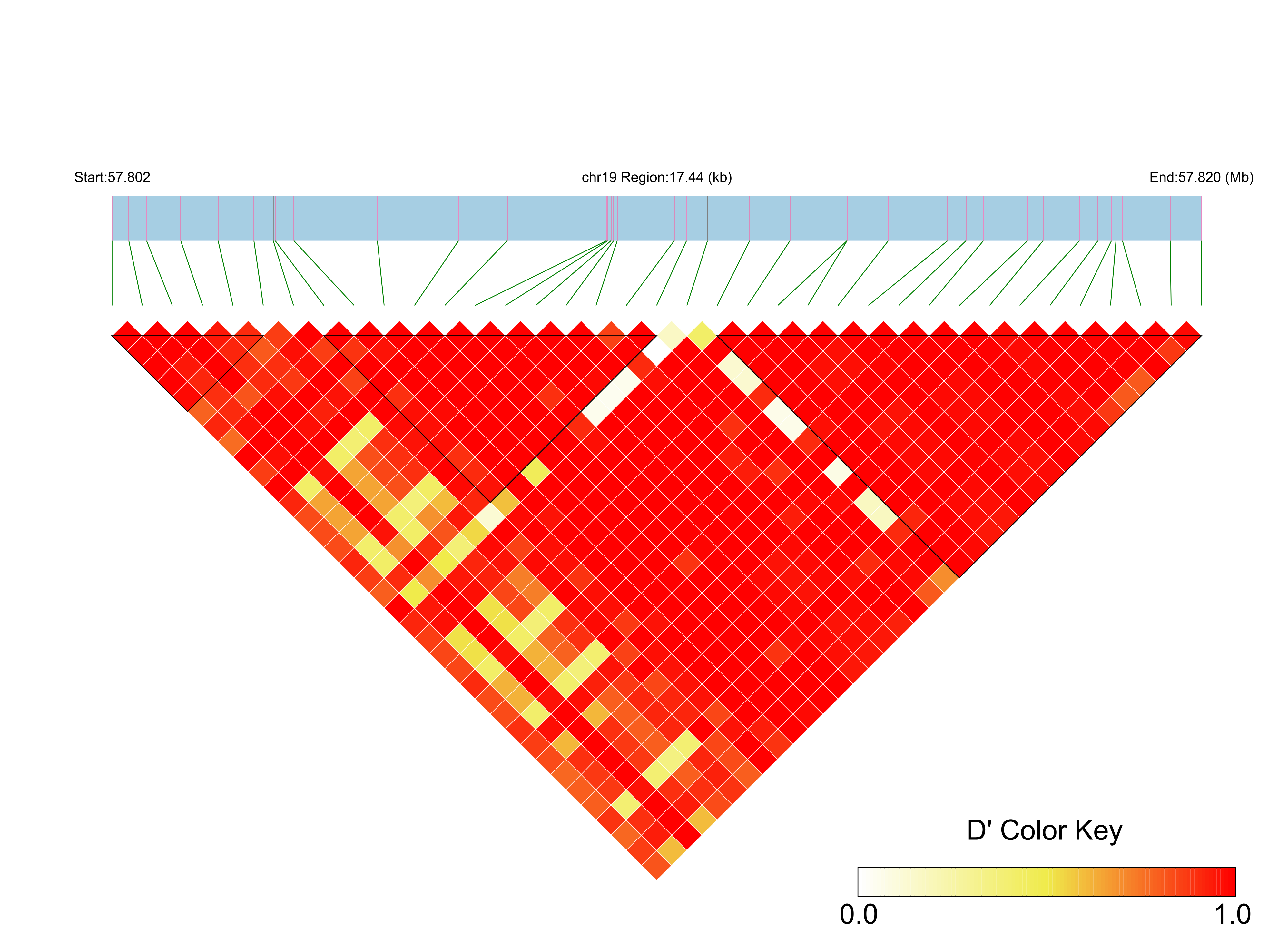 LD