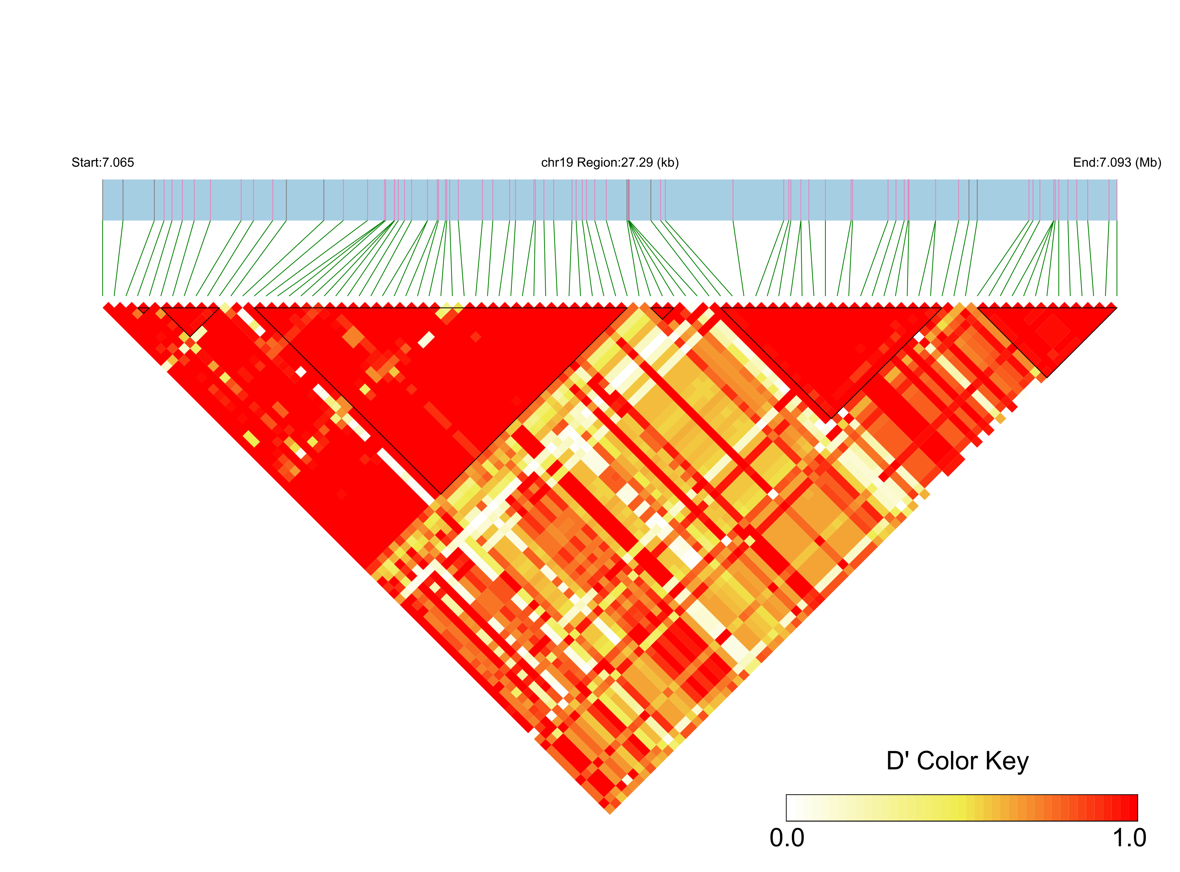 LD