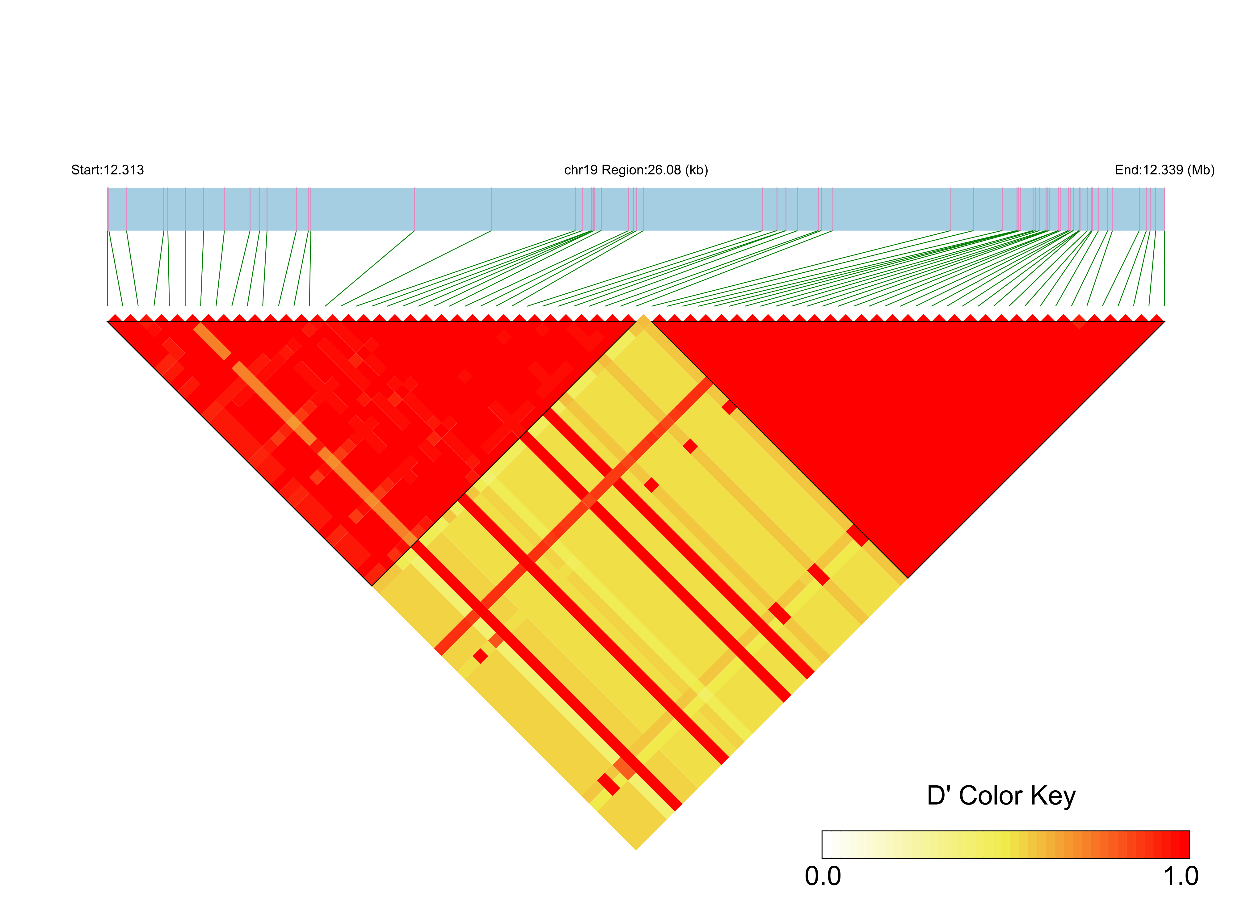 LD