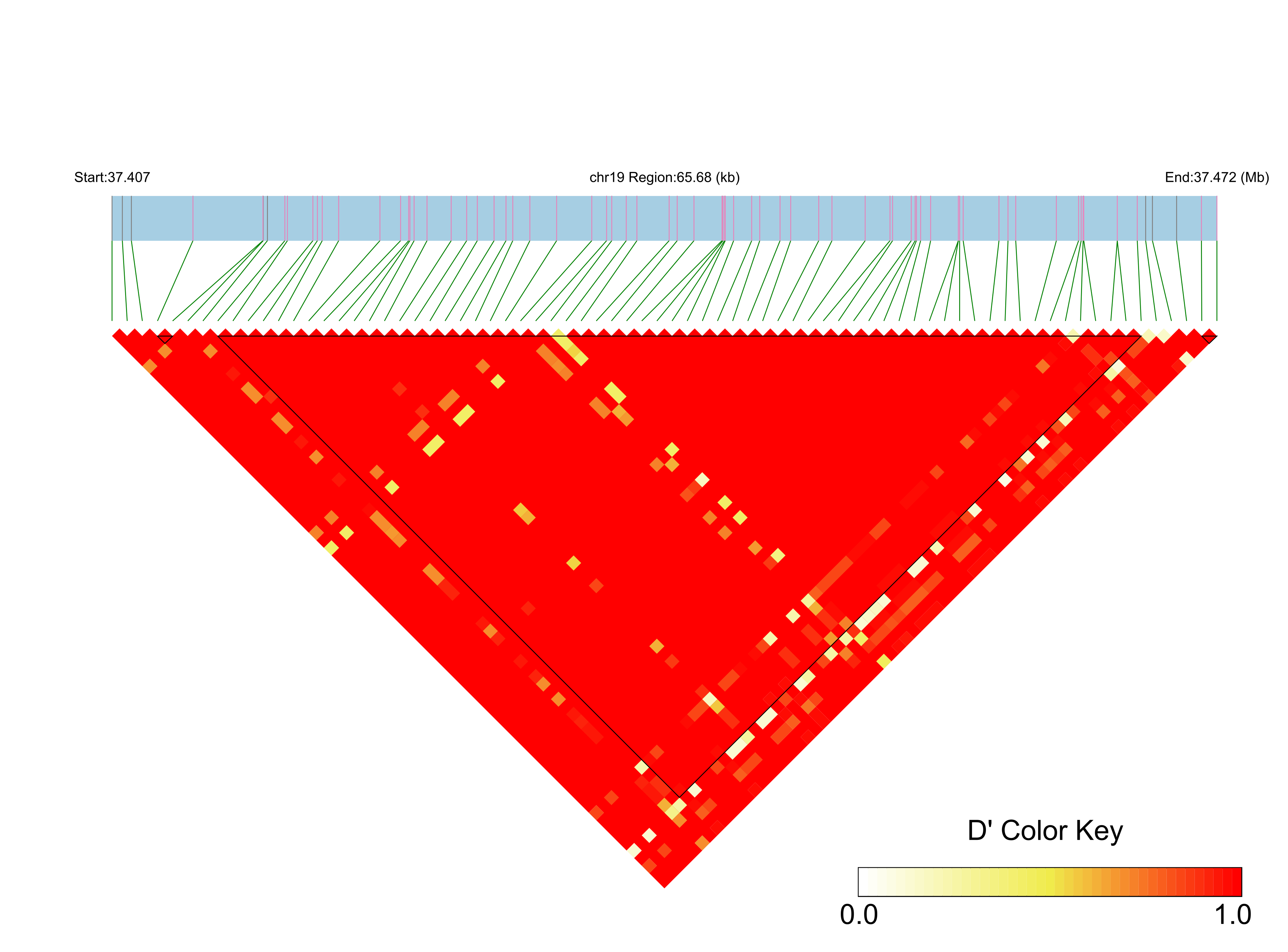 LD