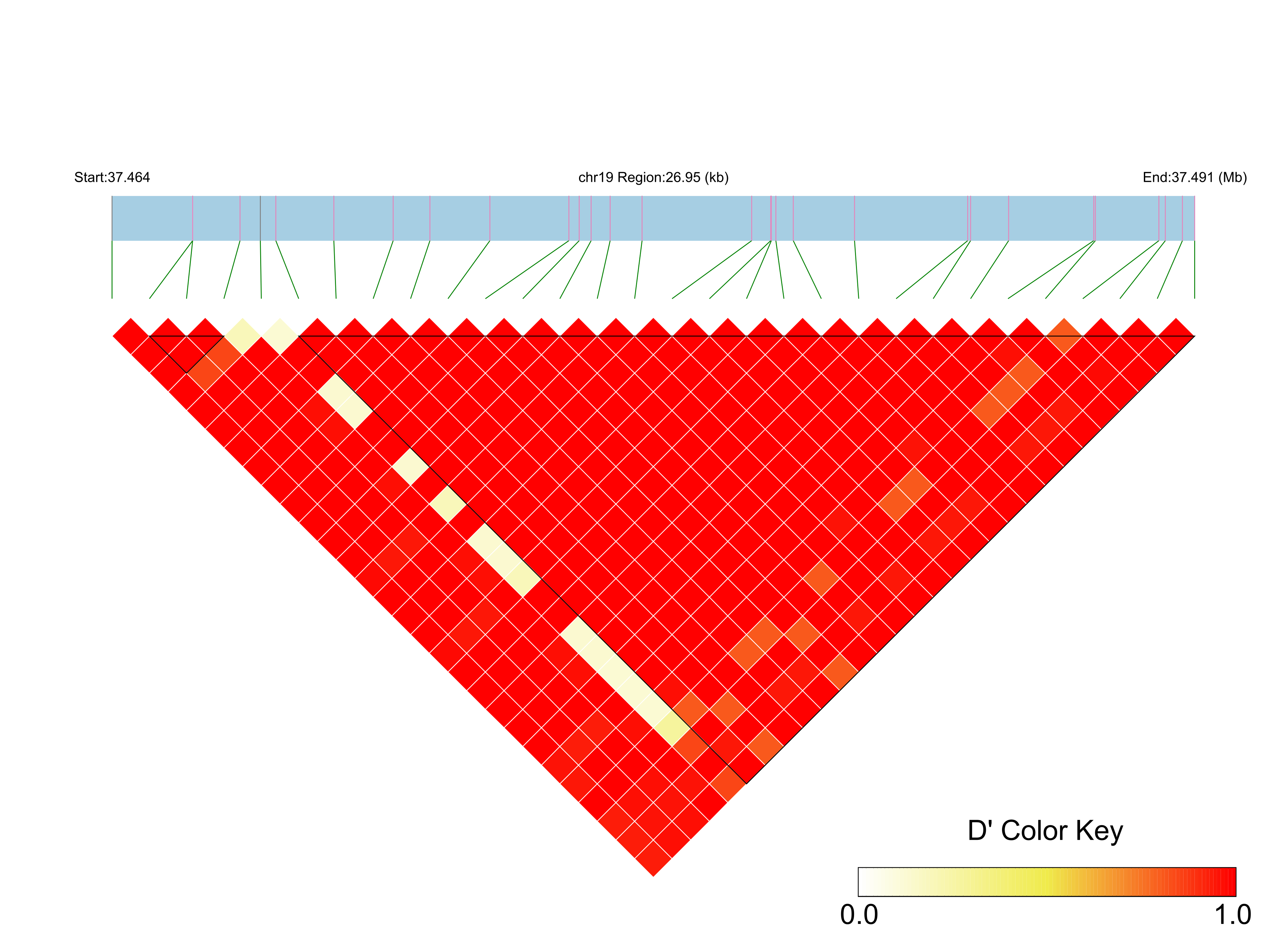 LD