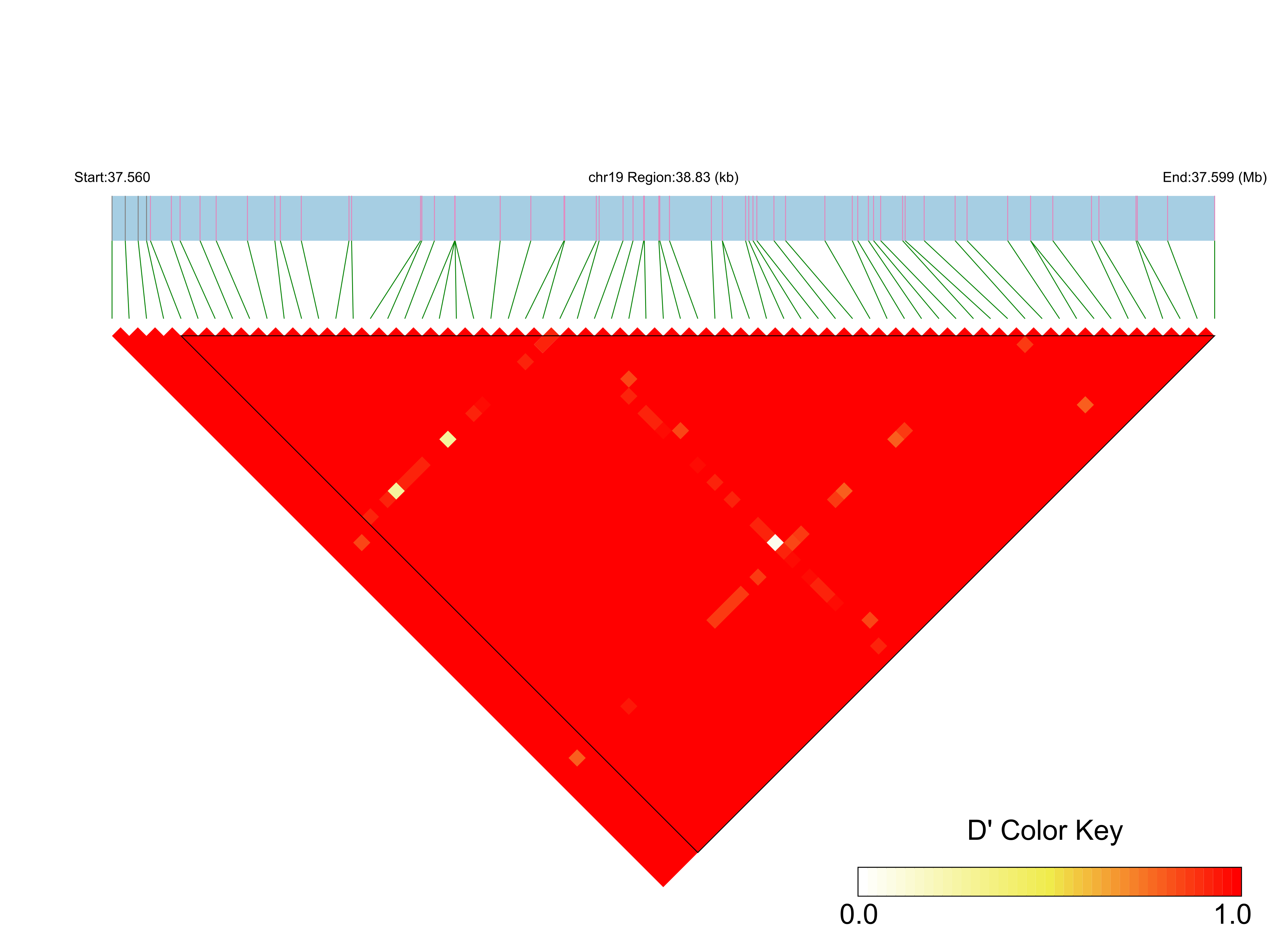 LD