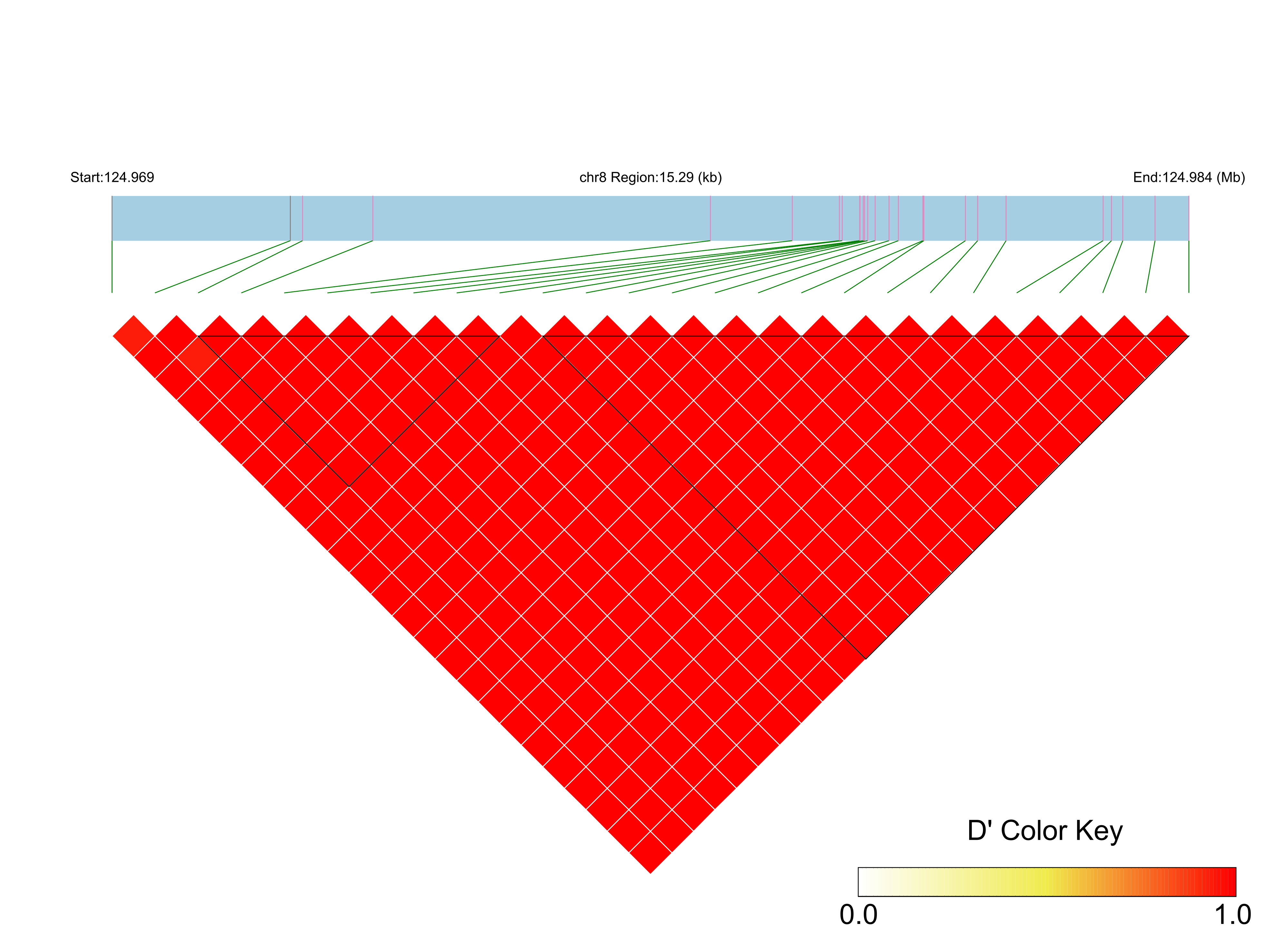 LD