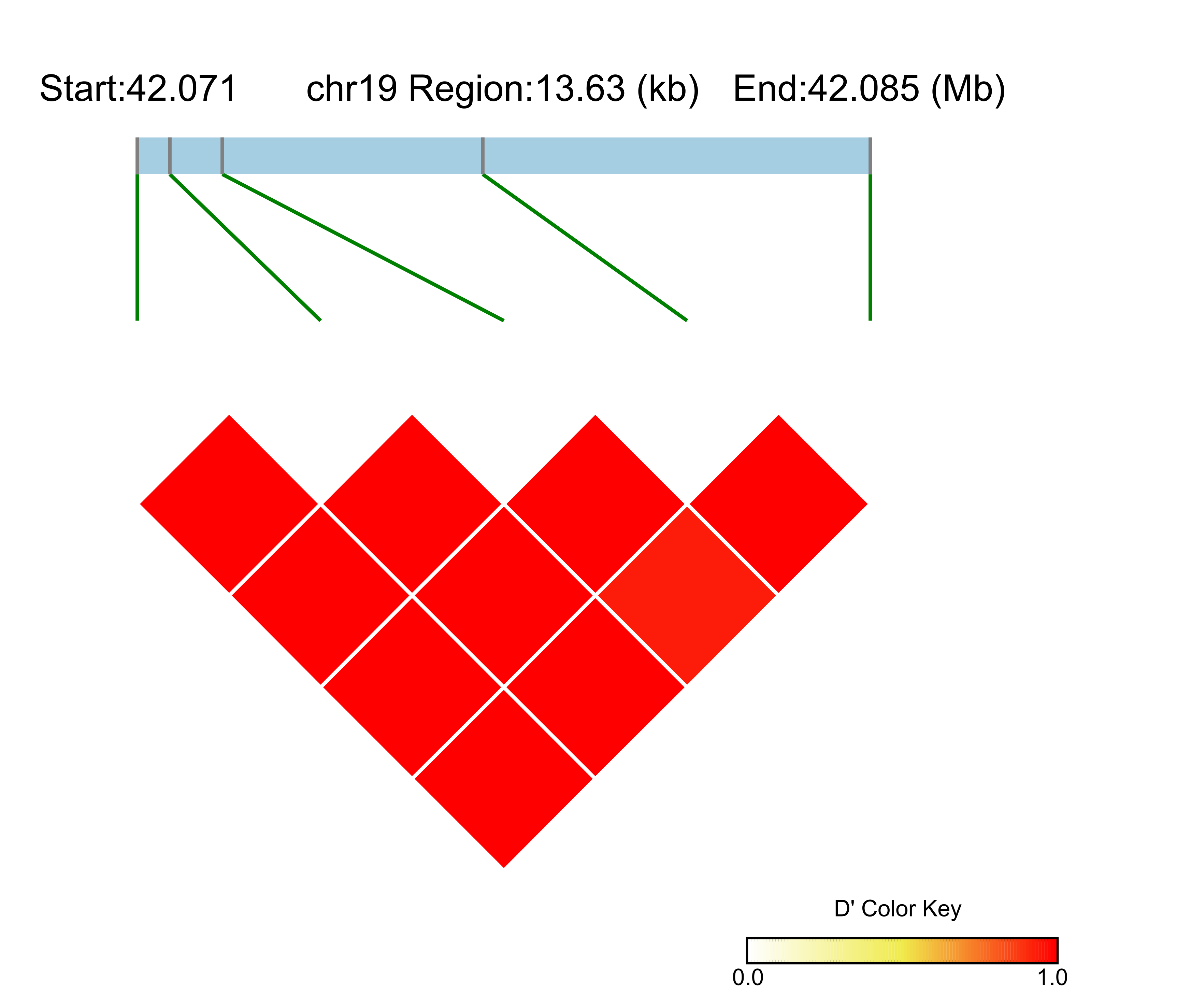 LD