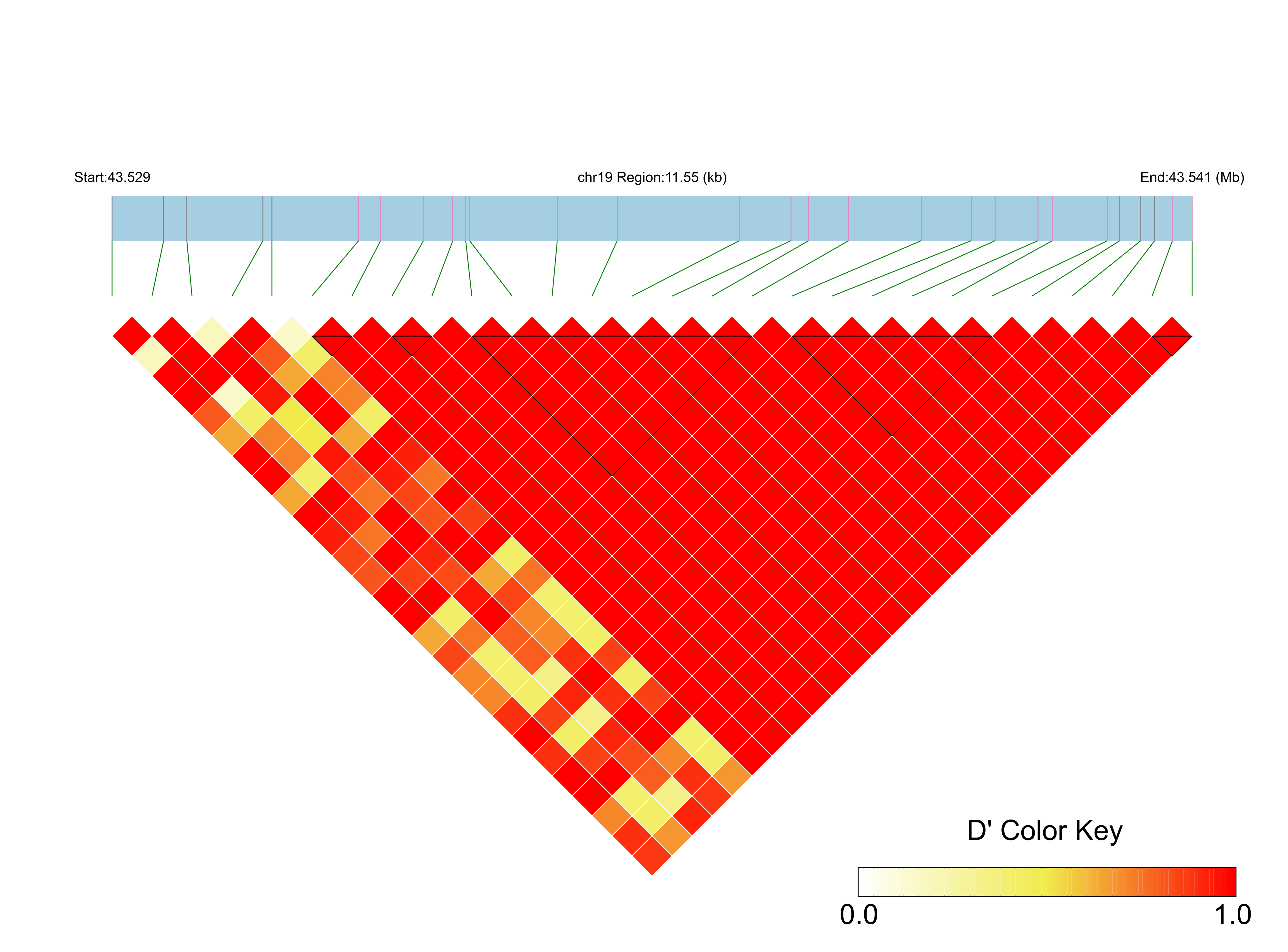 LD