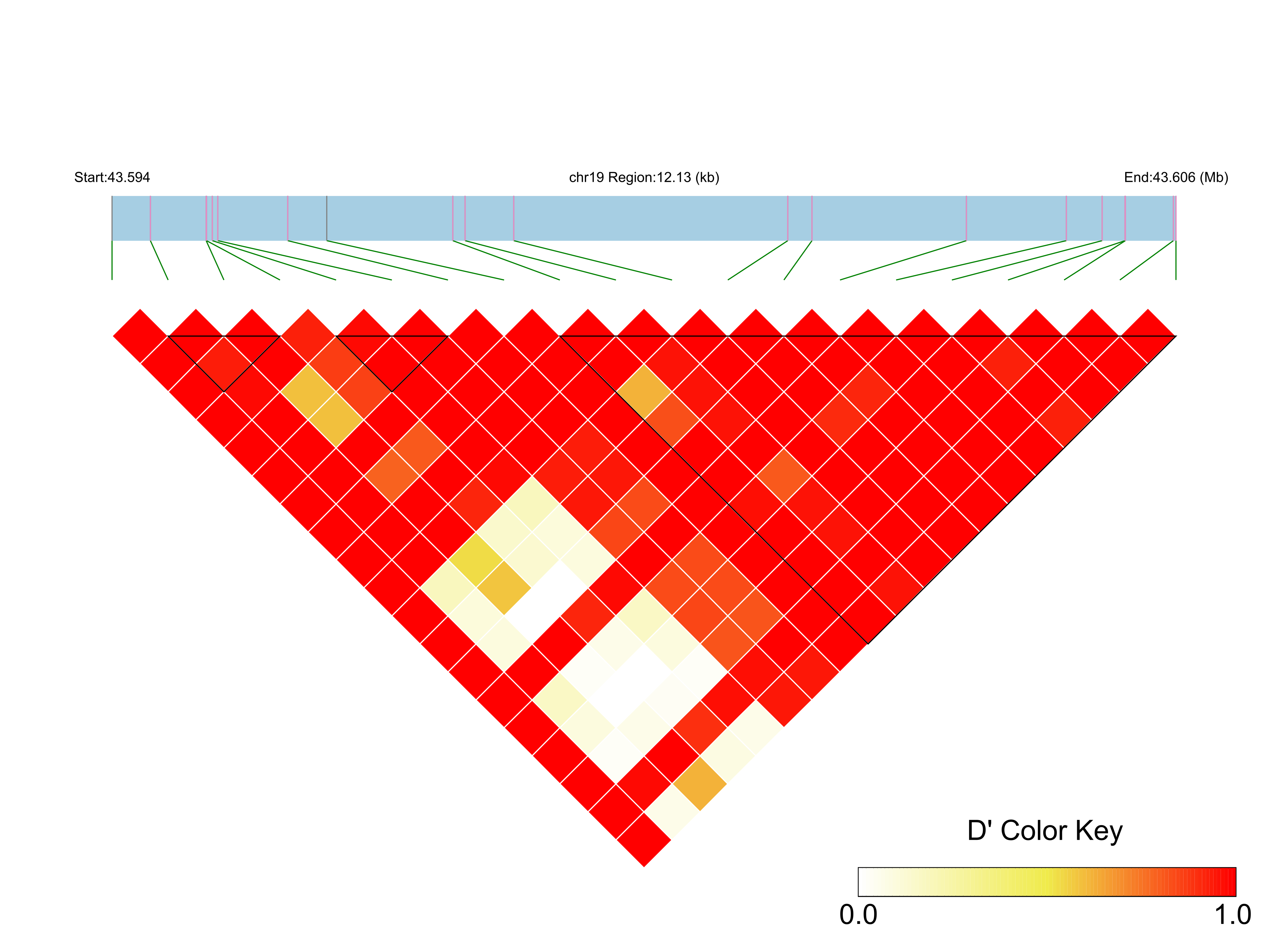 LD