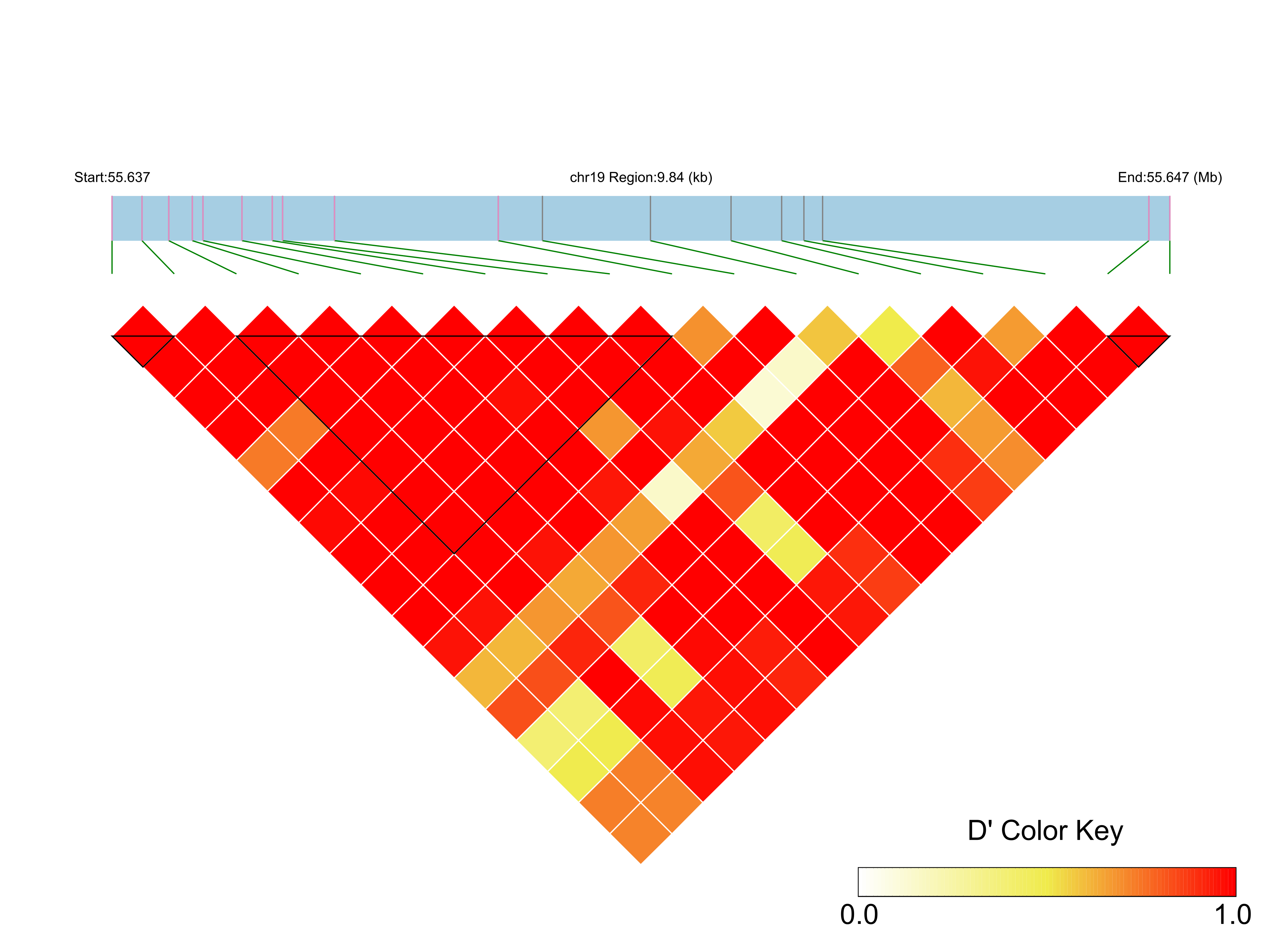 LD