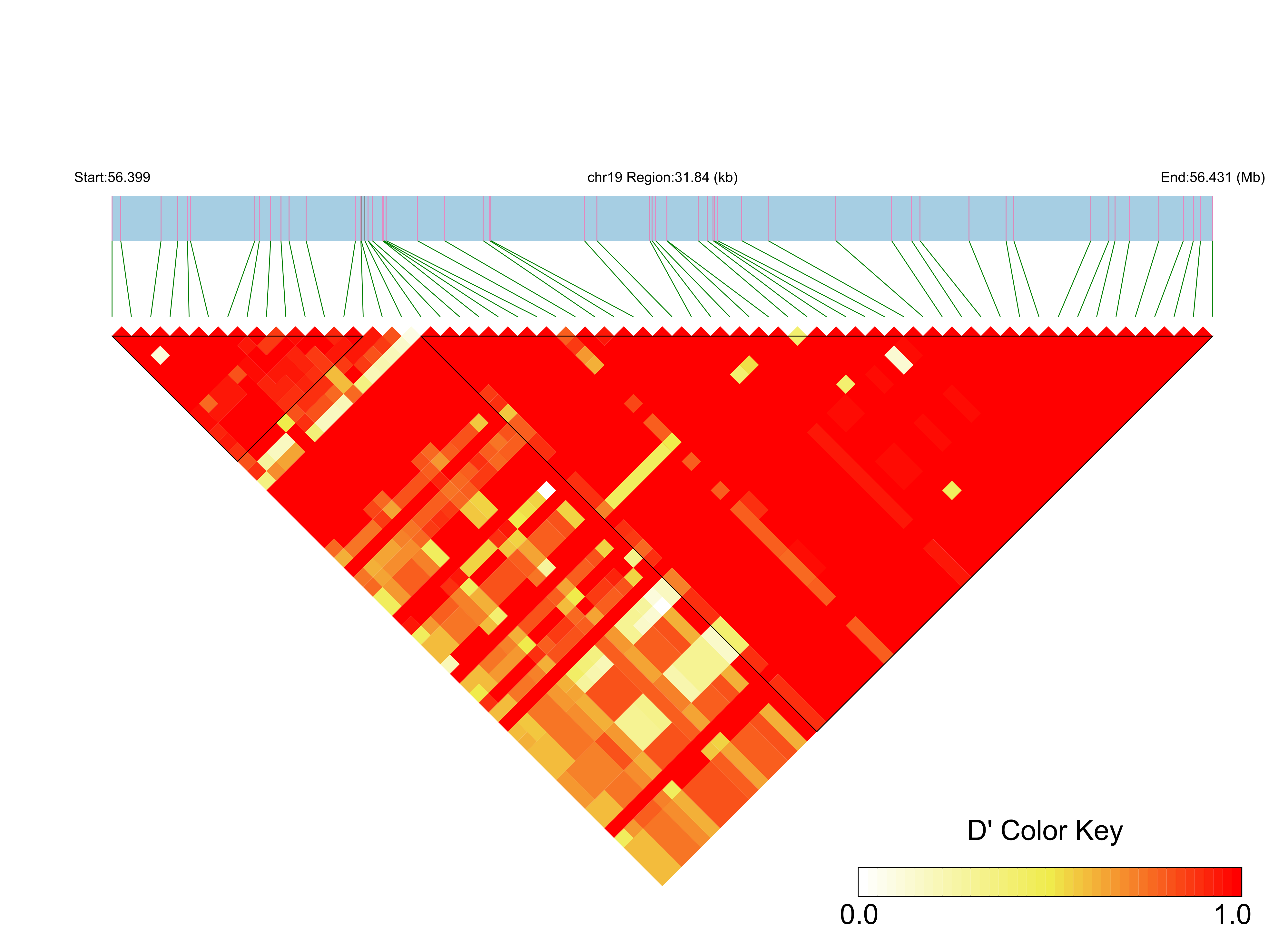 LD