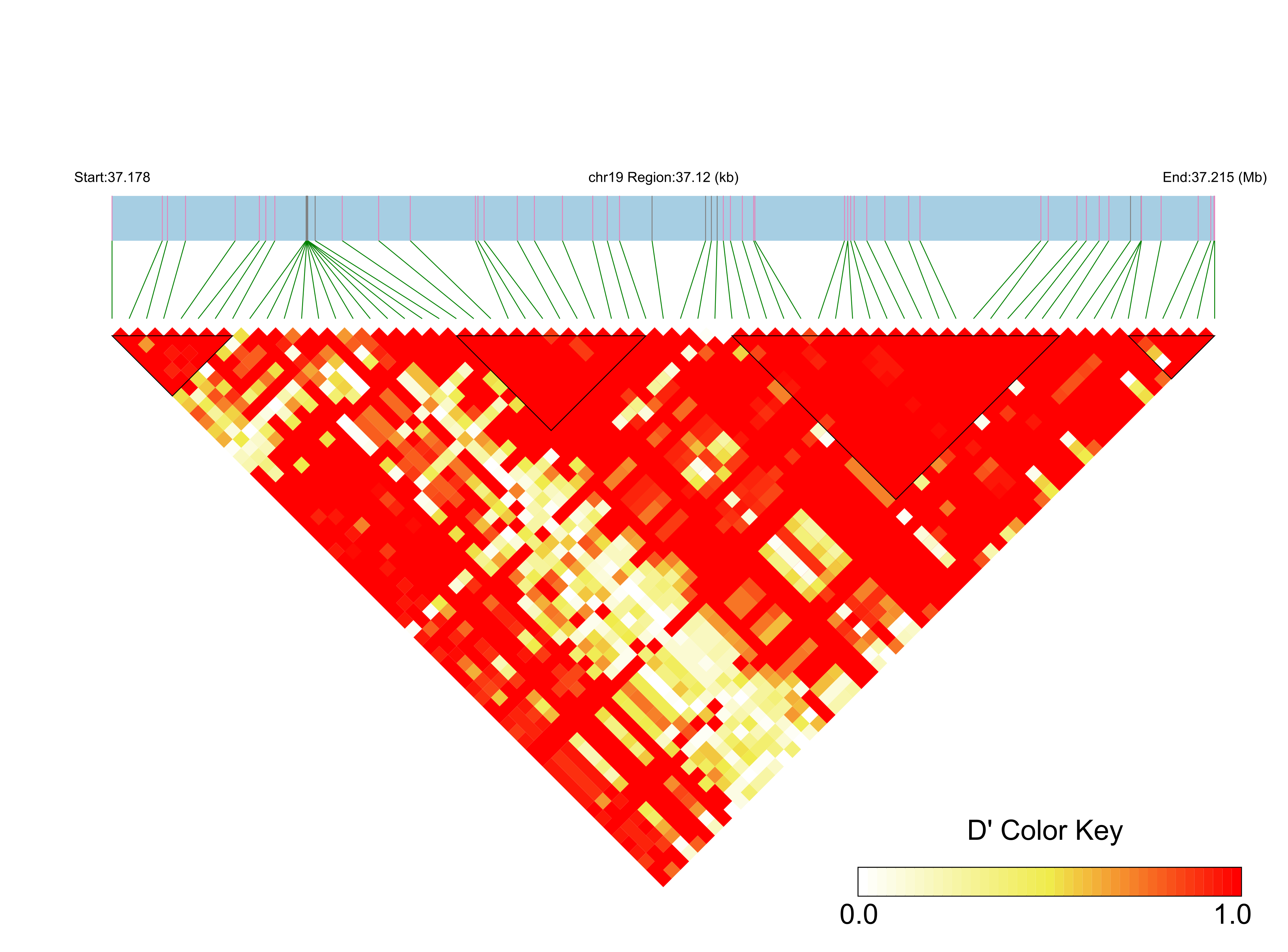 LD
