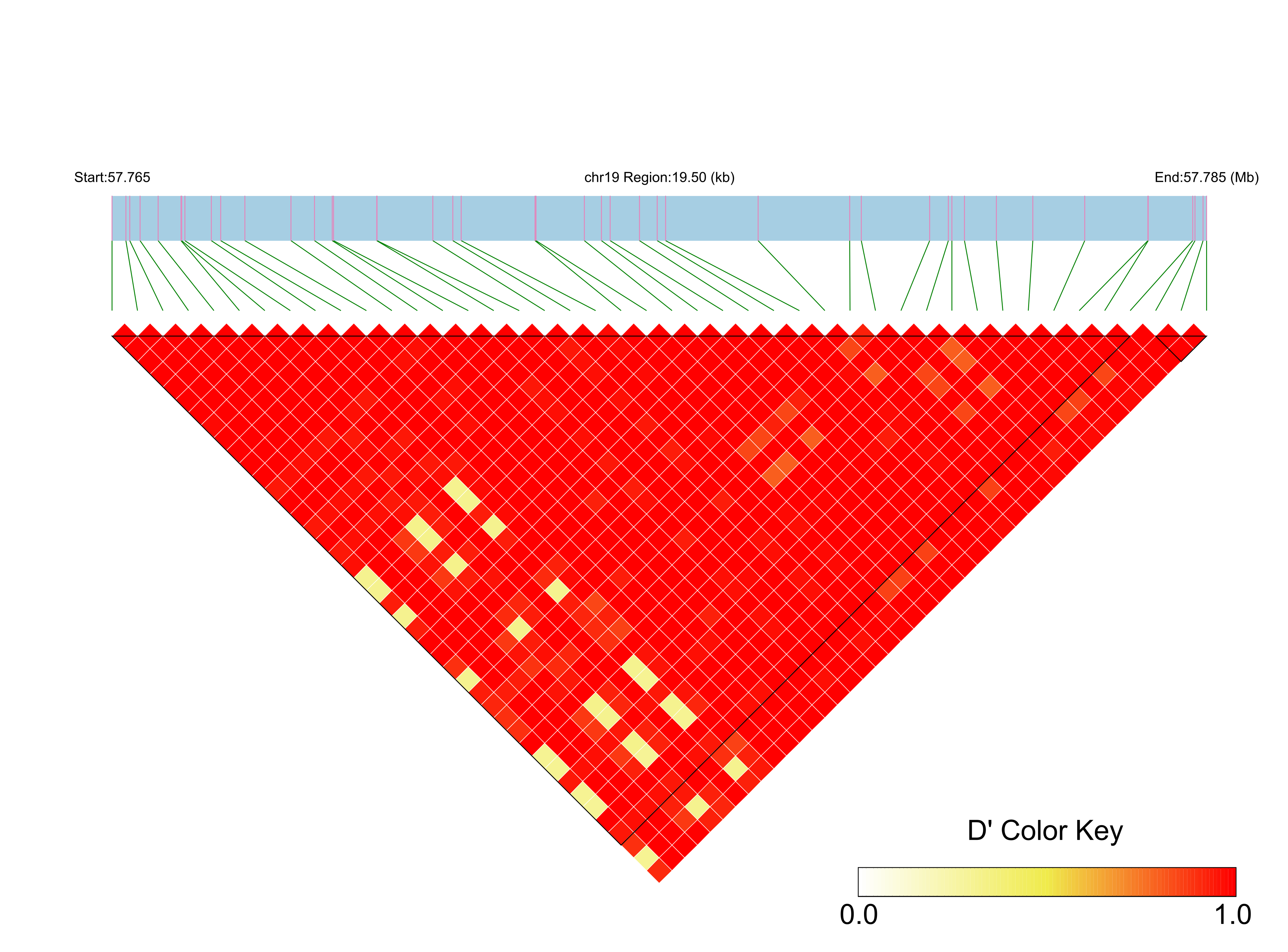 LD