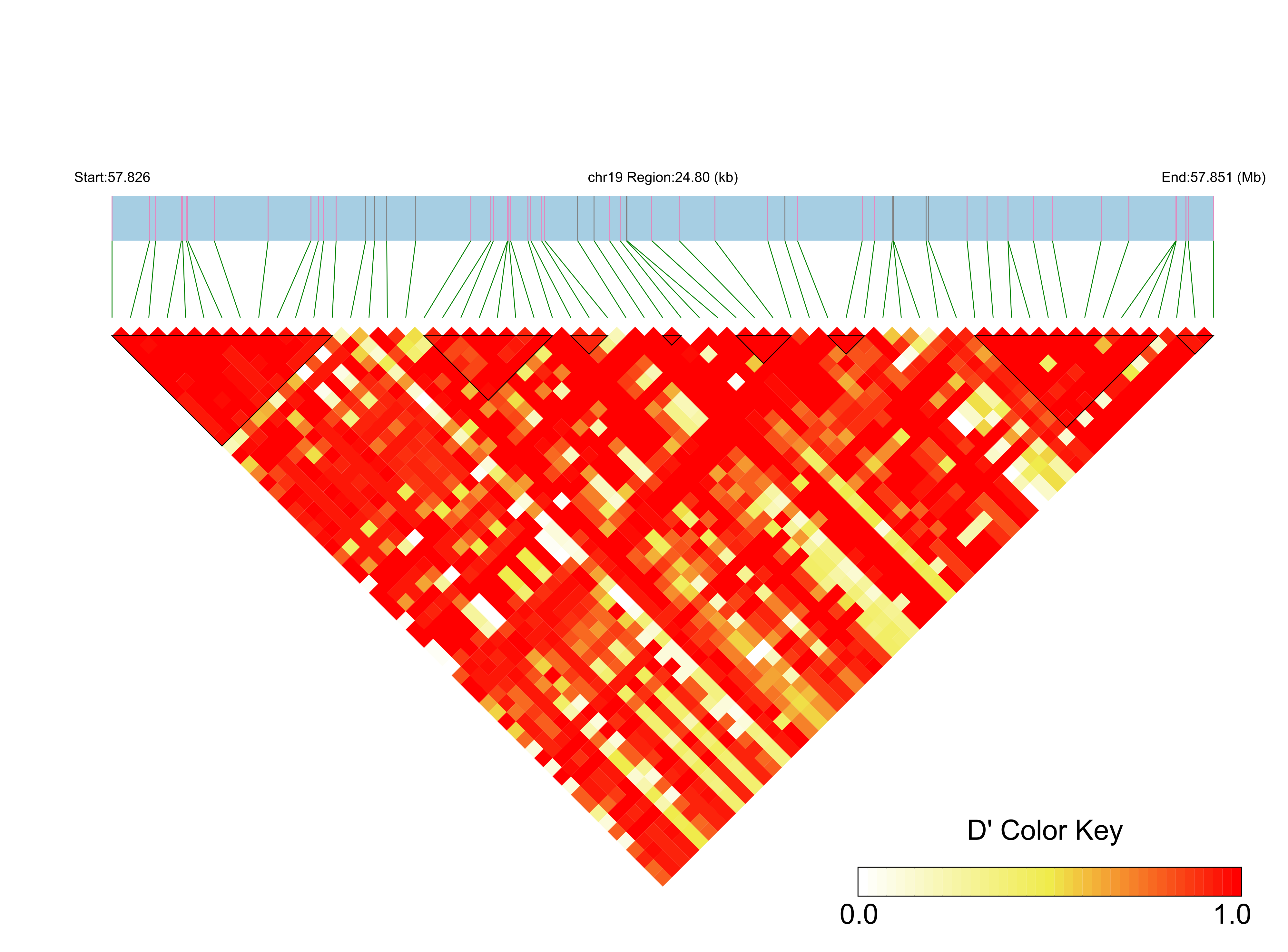 LD