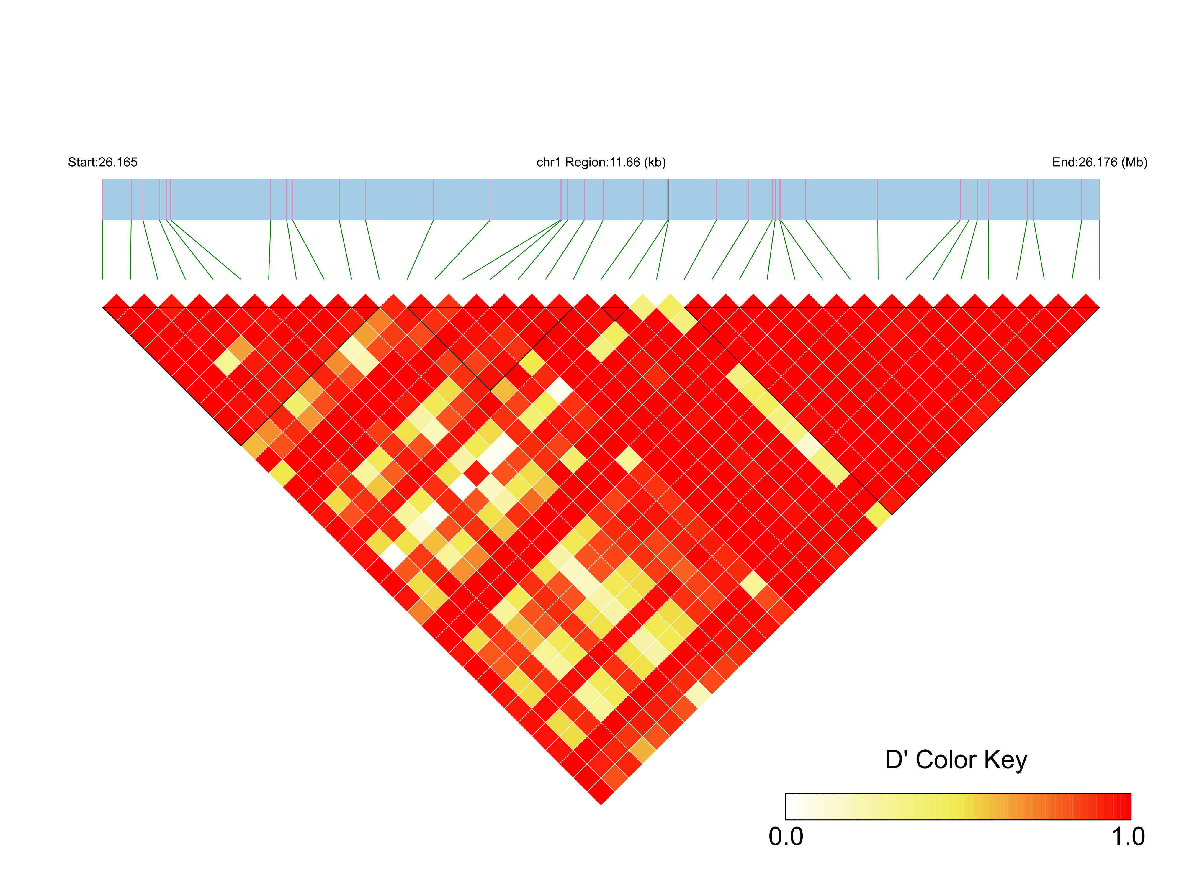 LD