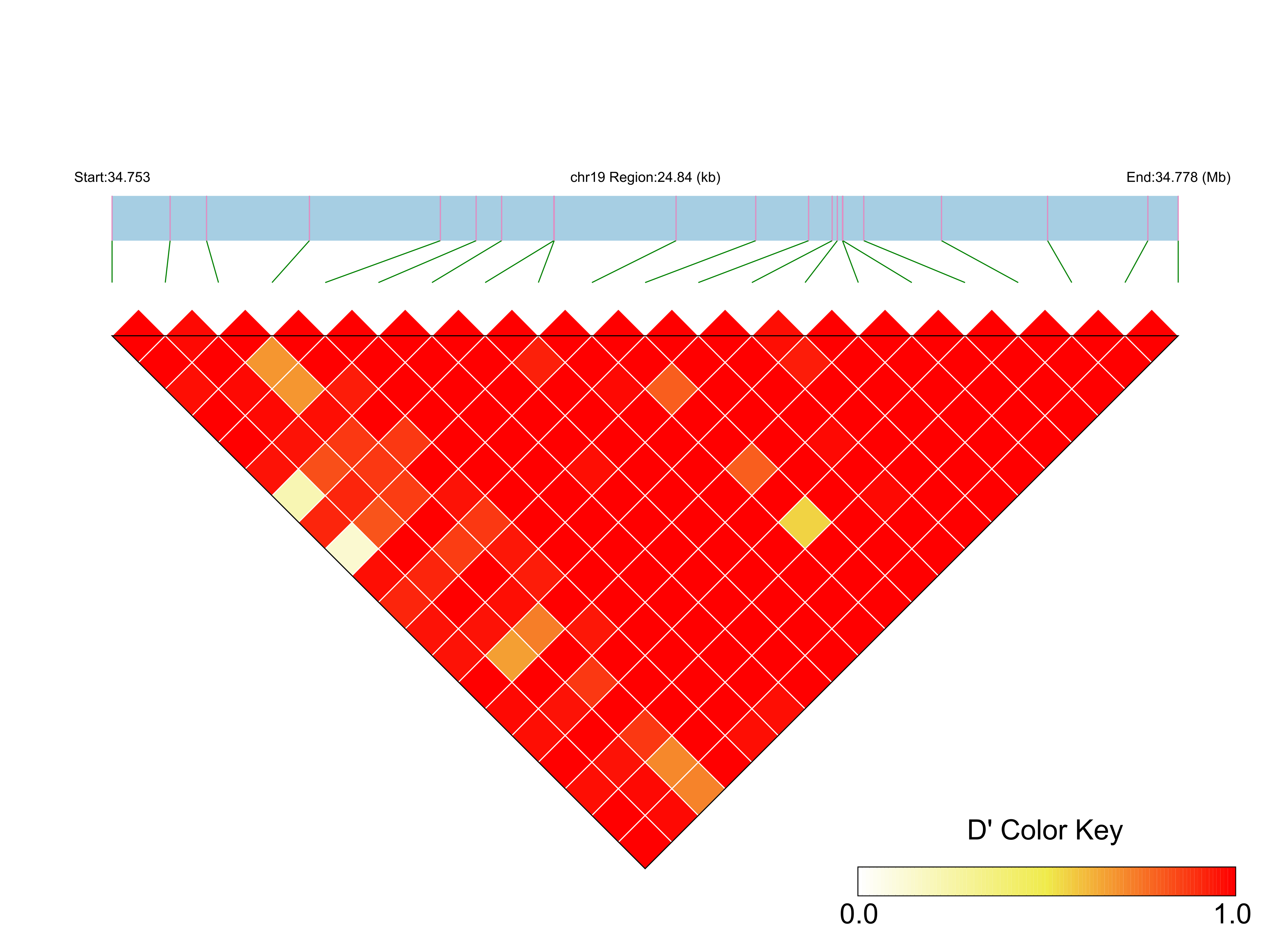 LD
