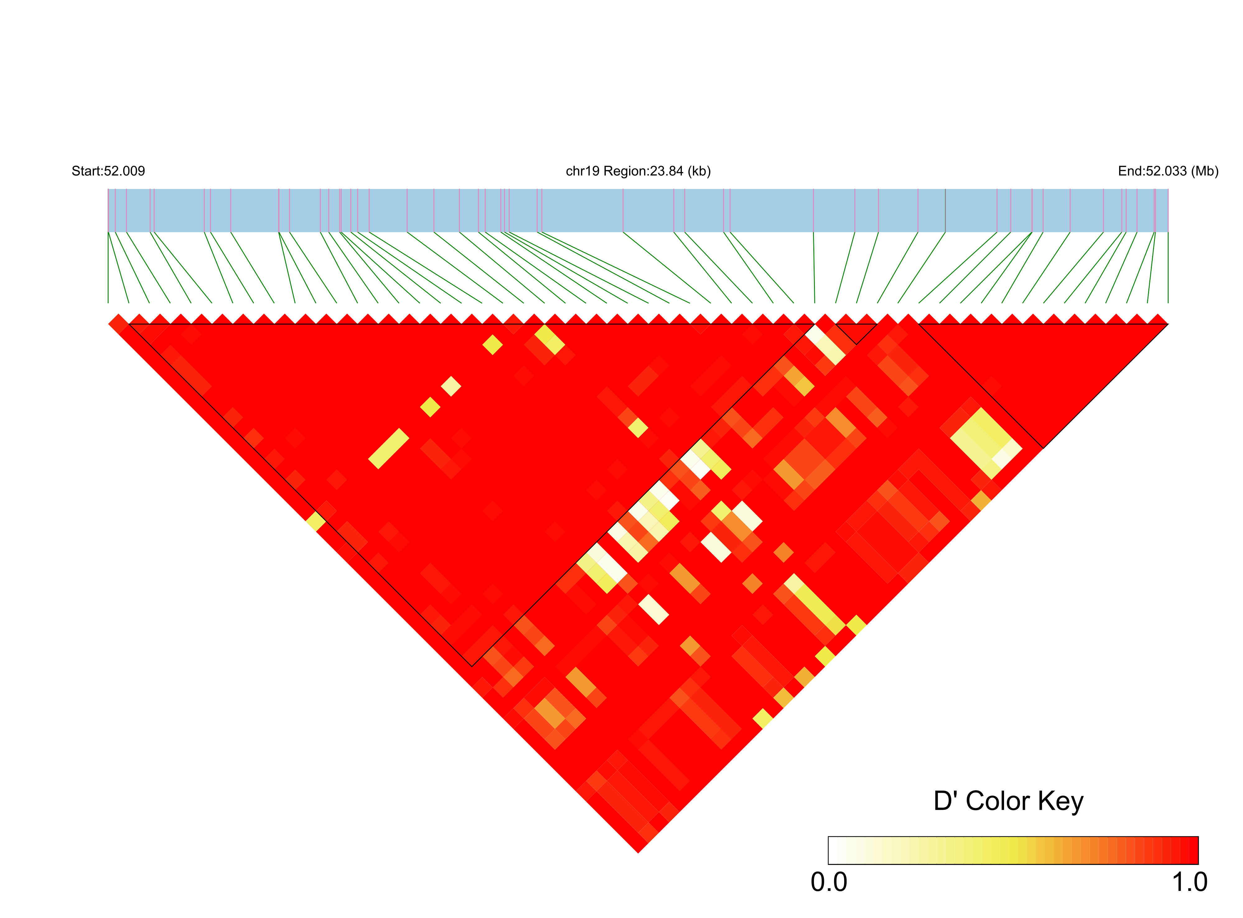 LD