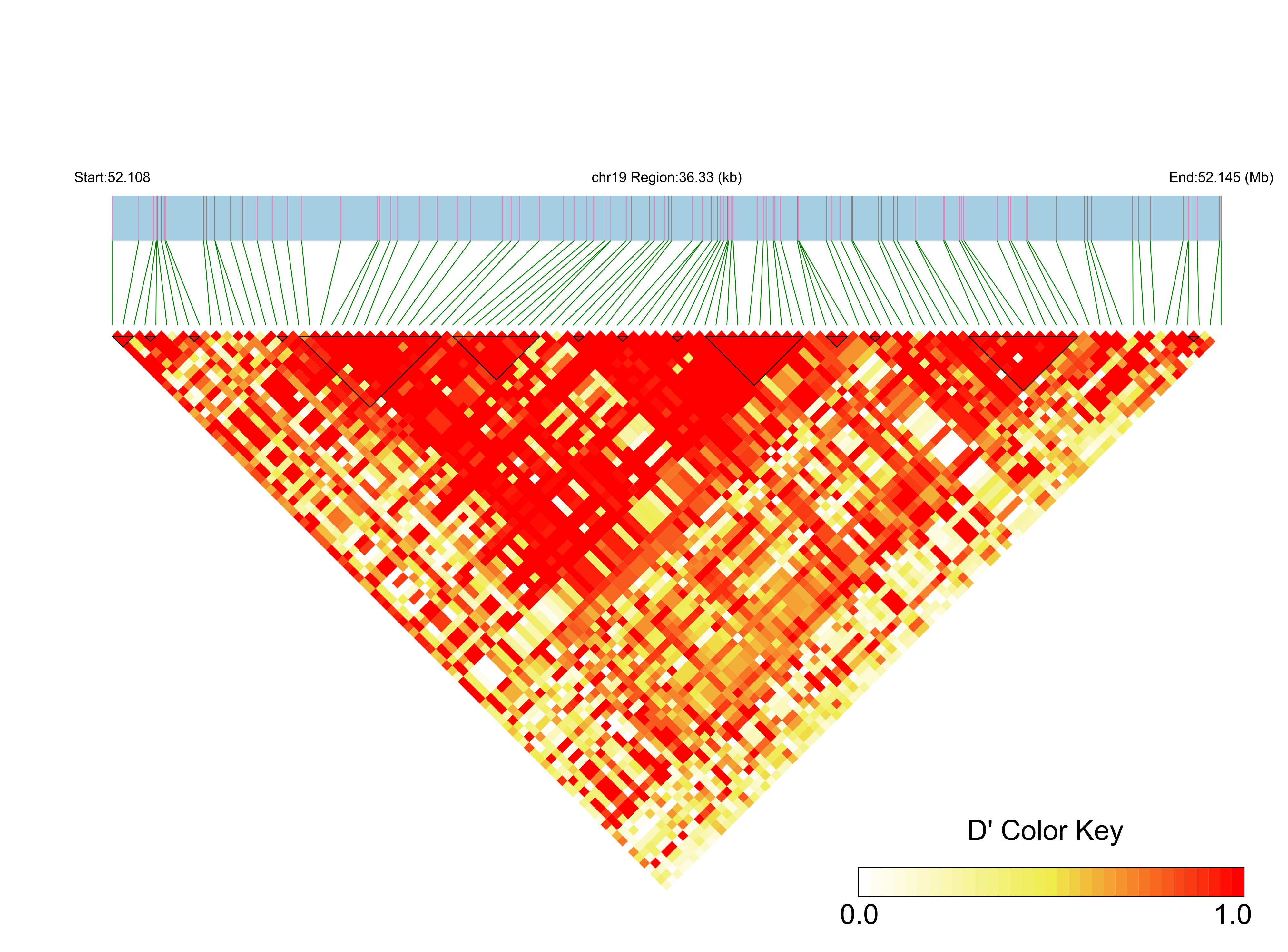 LD